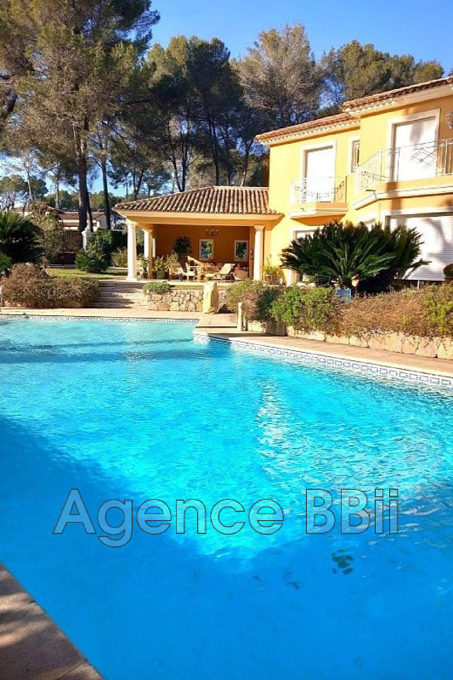 en venta villa Mougins Alpes-Maritimes 1