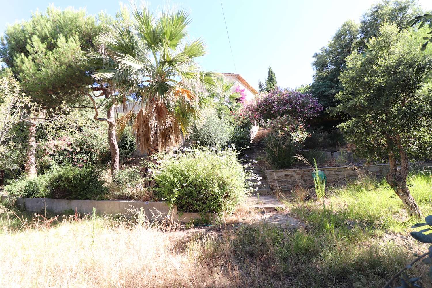  kaufen Villa Rayol-Canadel-sur-Mer Var 5