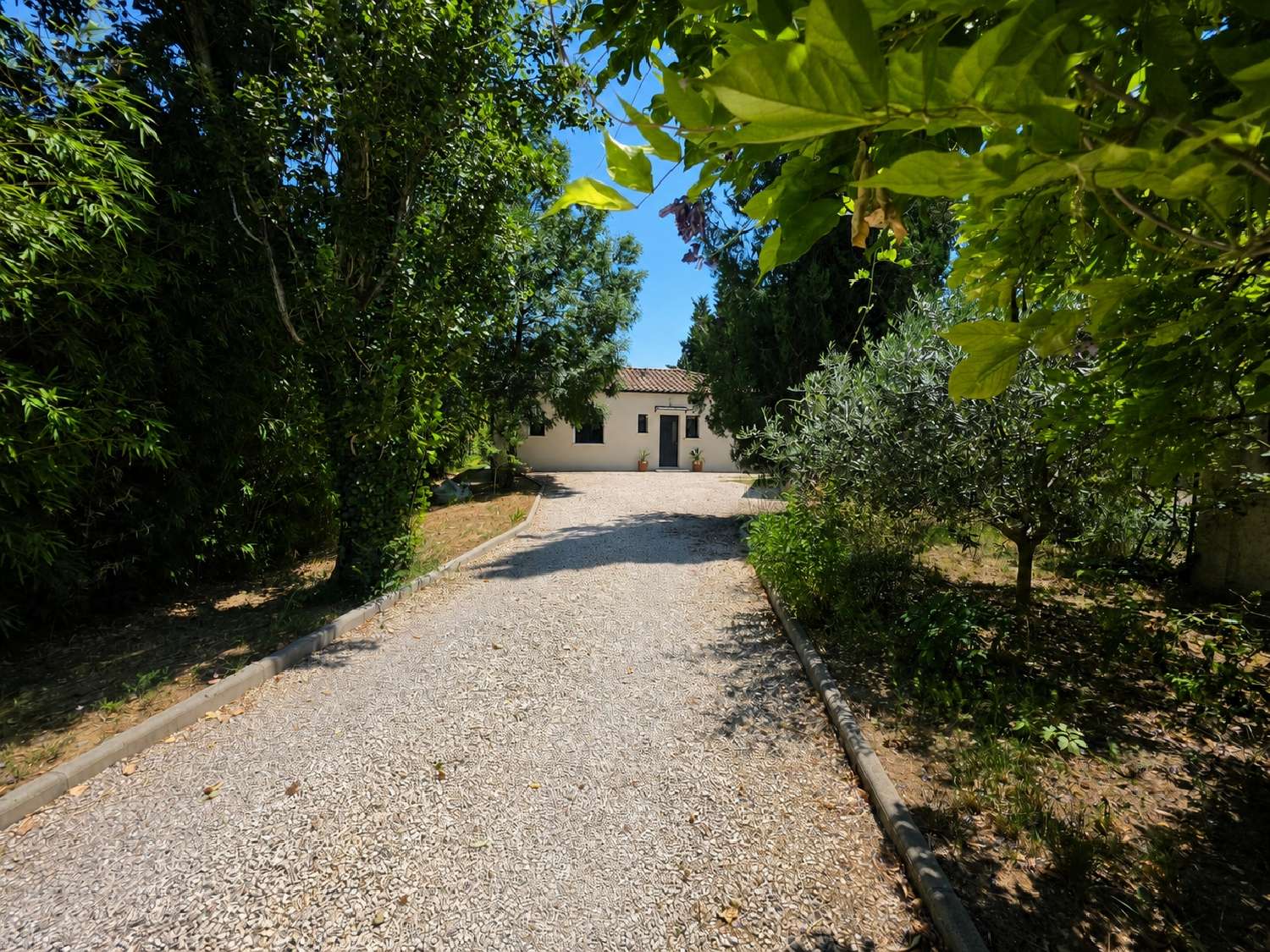 kaufen Villa Saint-Félix-de-Lodez Hérault 3