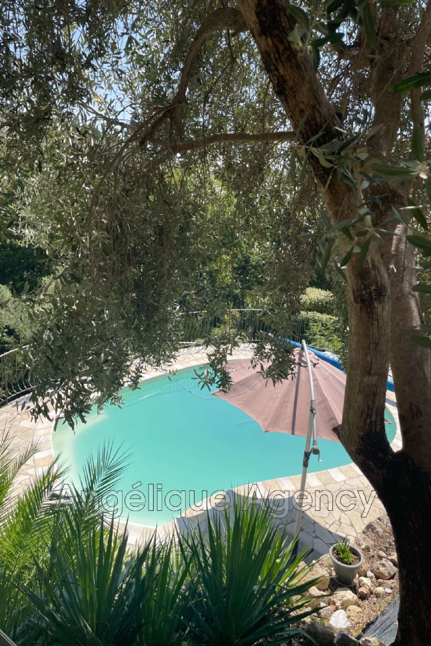 à vendre villa Vence Alpes-Maritimes 1