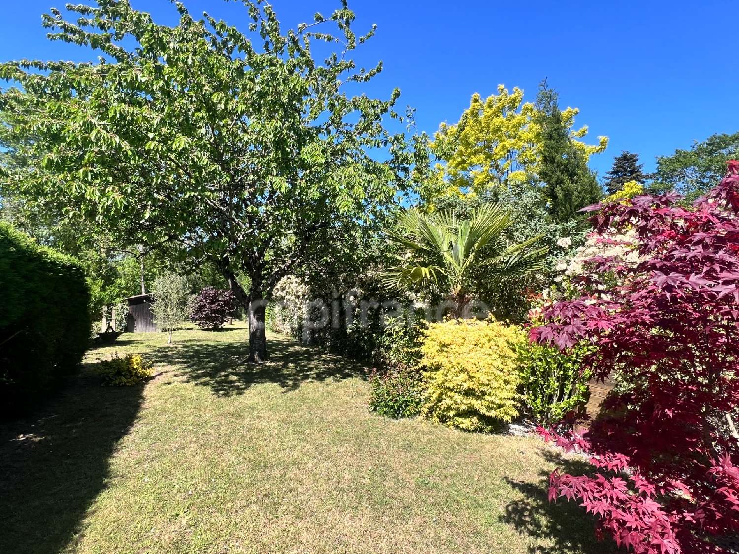 te koop dorpshuis Arnage Sarthe 6