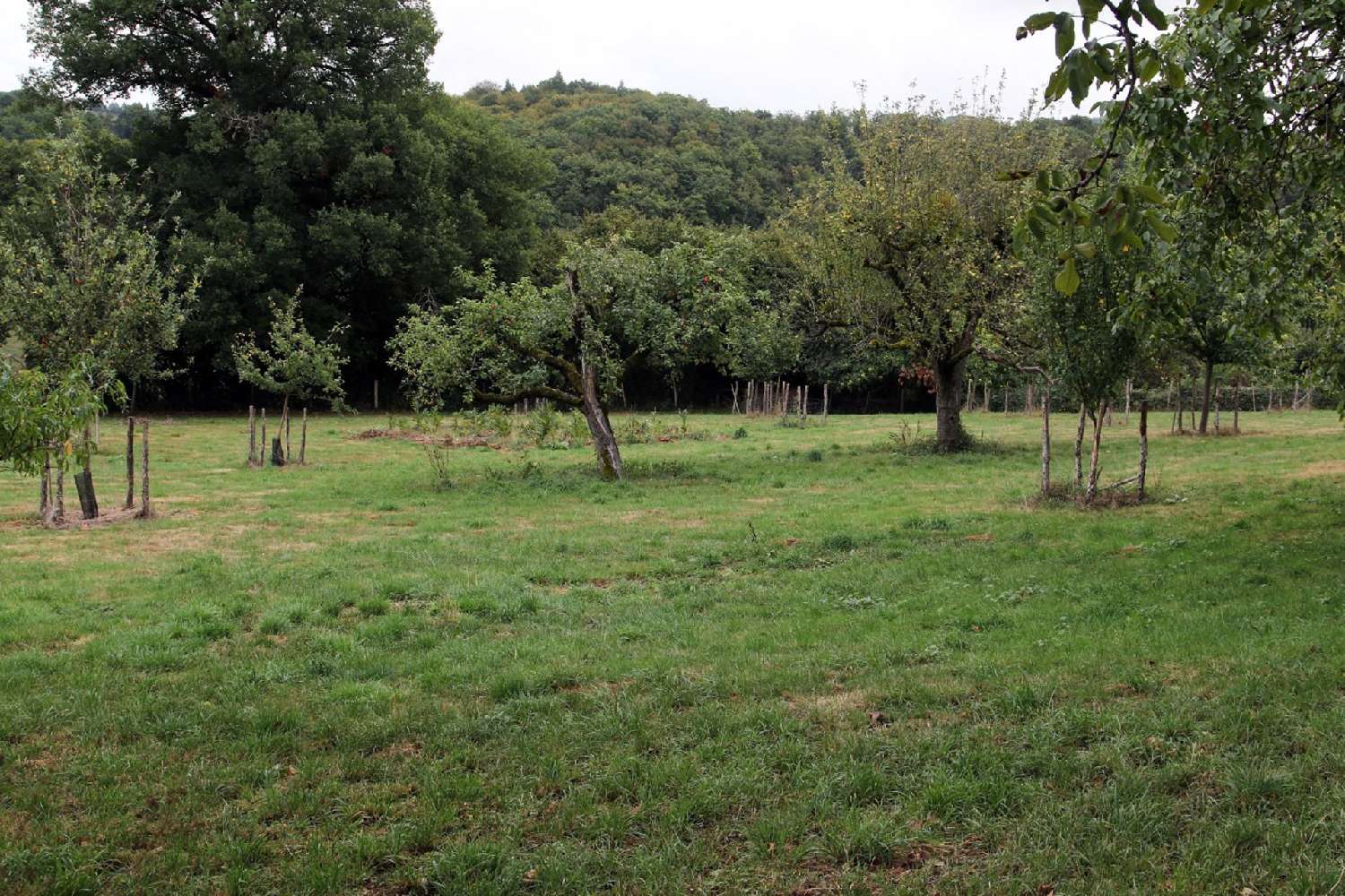  kaufen Dorfhaus Calvinet Cantal 3