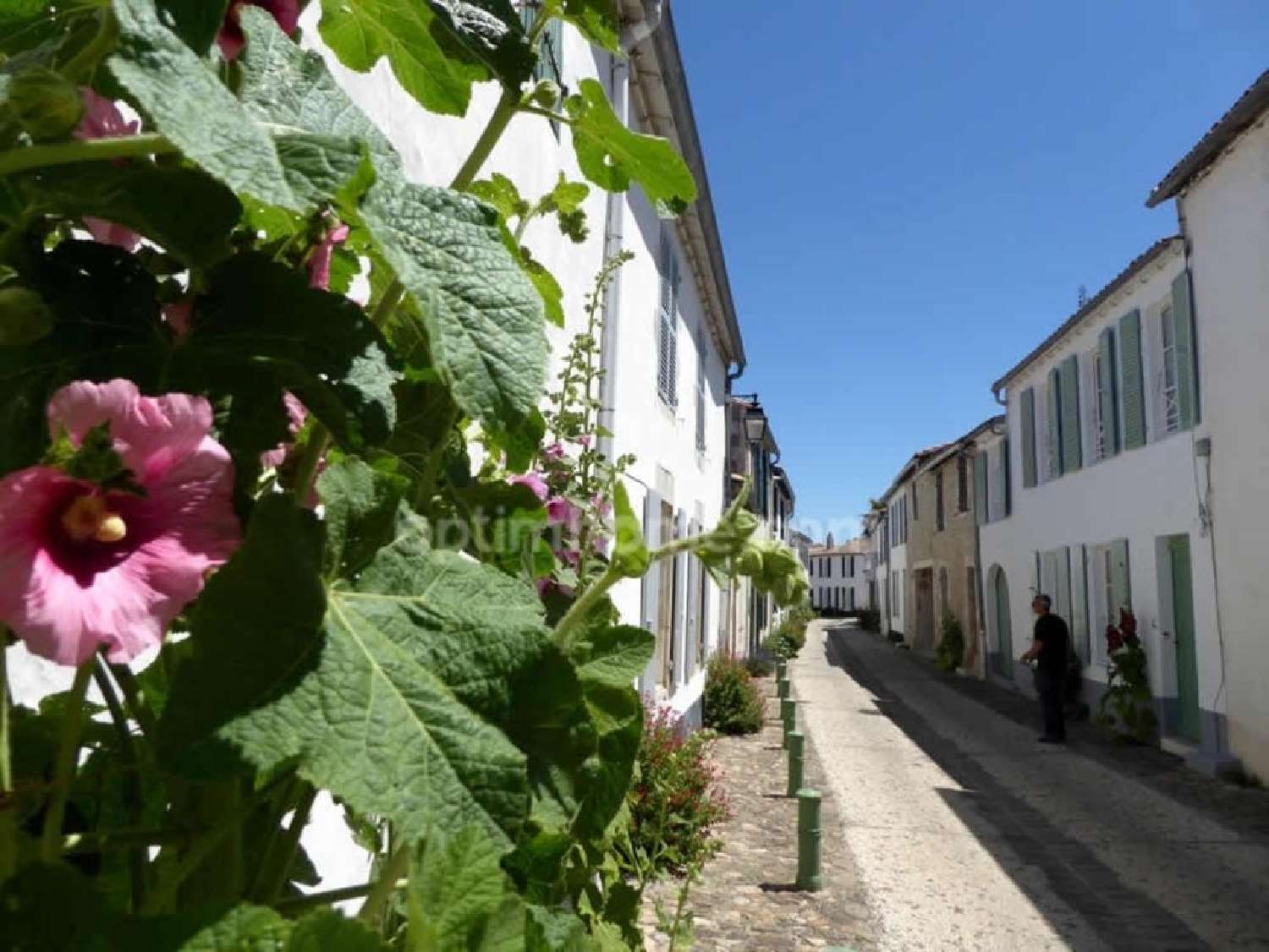à vendre maison de village La Flotte Charente-Maritime 1