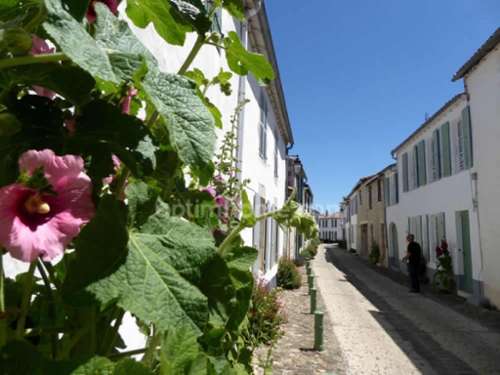 La Flotte Charente-Maritime maison de village foto 7398775