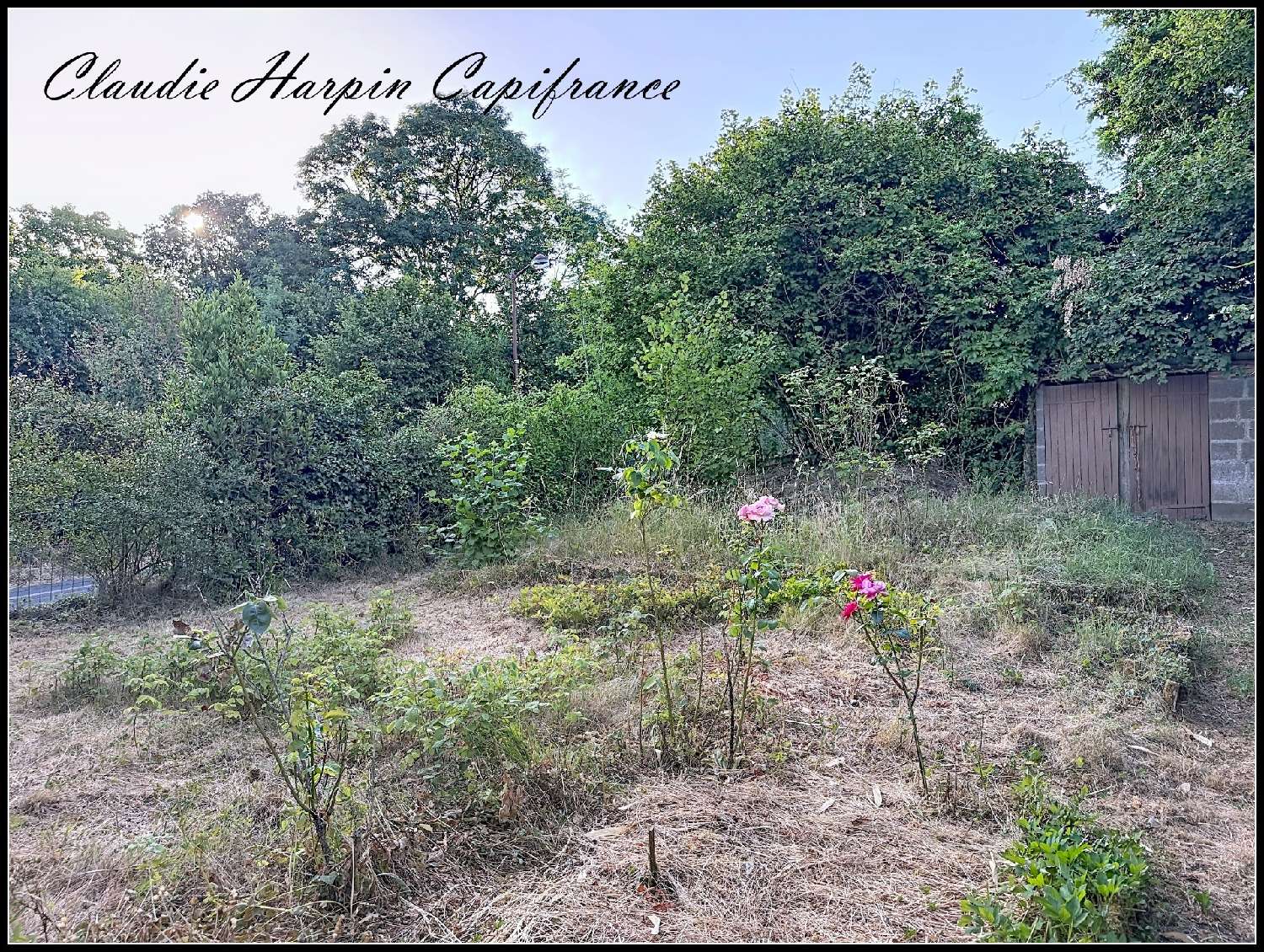 à vendre maison de village Mazières-en-Gâtine Deux-Sèvres 2