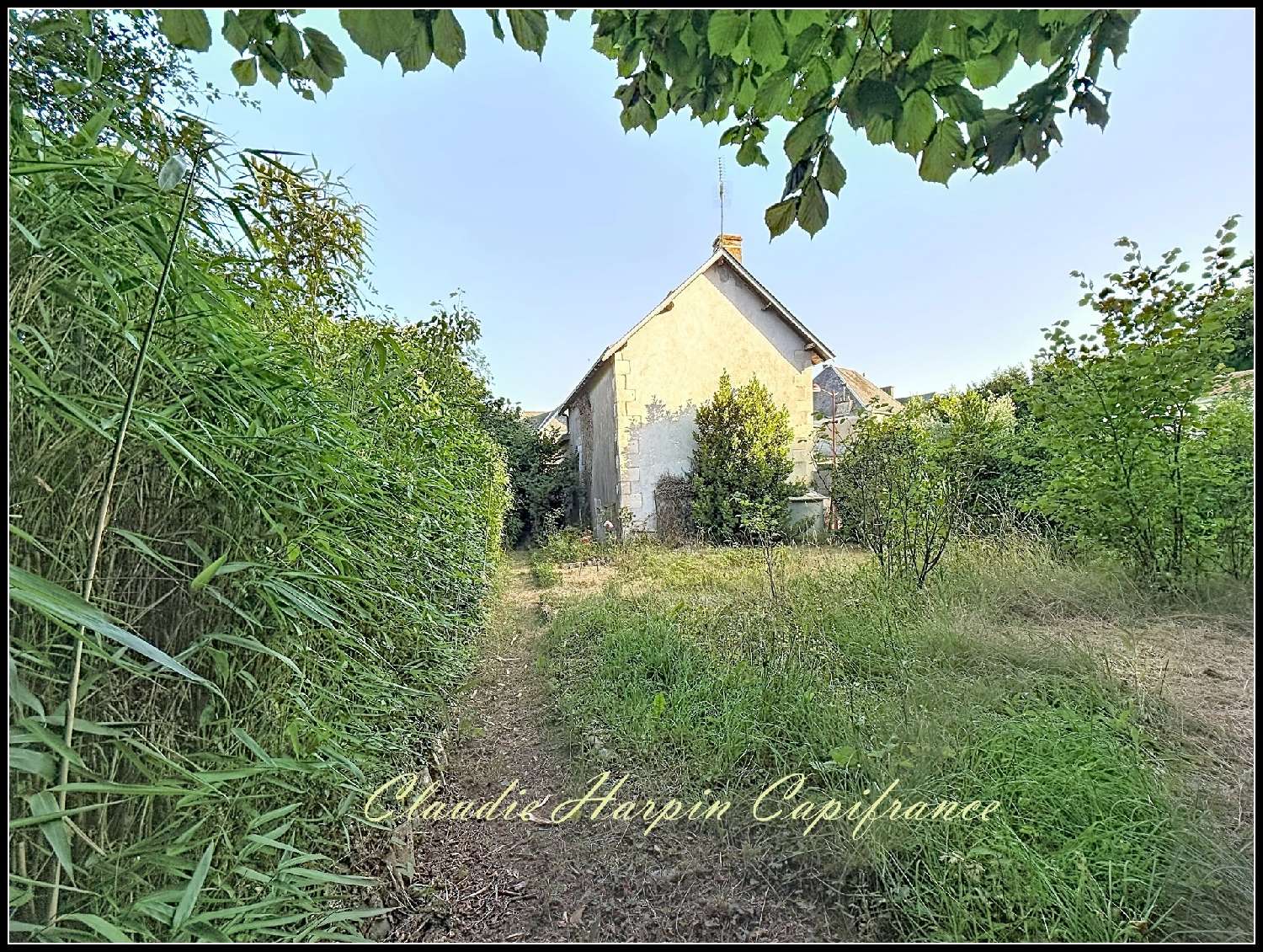 à vendre maison de village Mazières-en-Gâtine Deux-Sèvres 3
