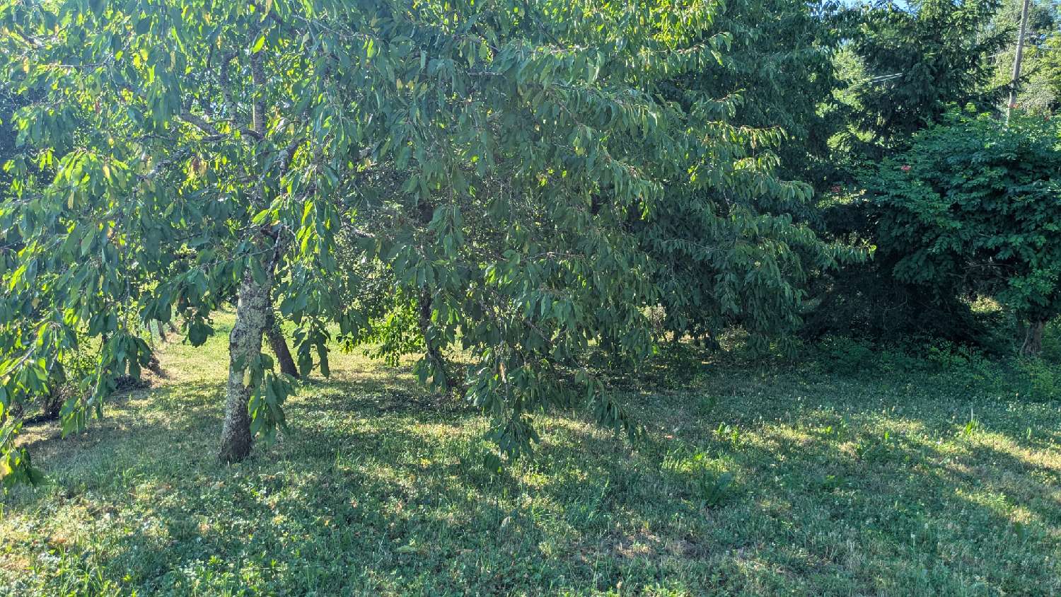  à vendre maison de village Monay Jura 4