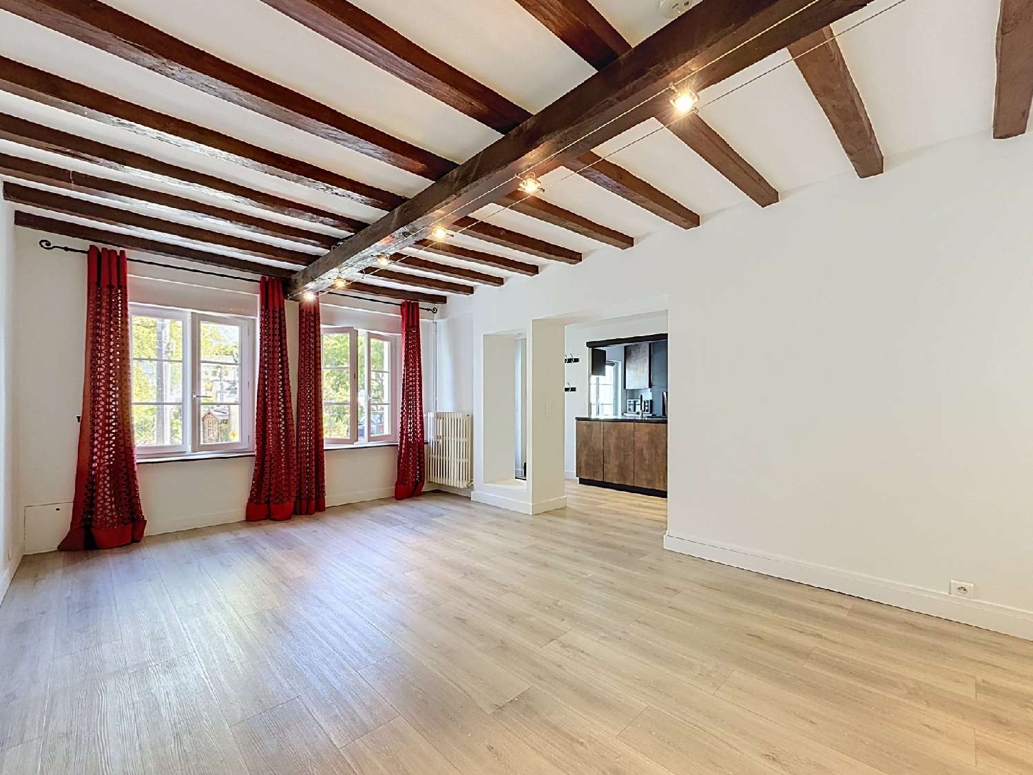  à vendre maison de village Saint-Antoine-du-Rocher Indre-et-Loire 4