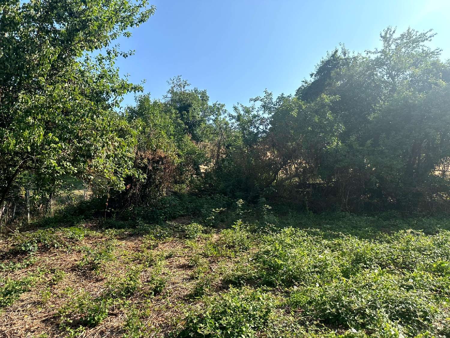 for sale village house Vitteaux Côte-d'Or 6