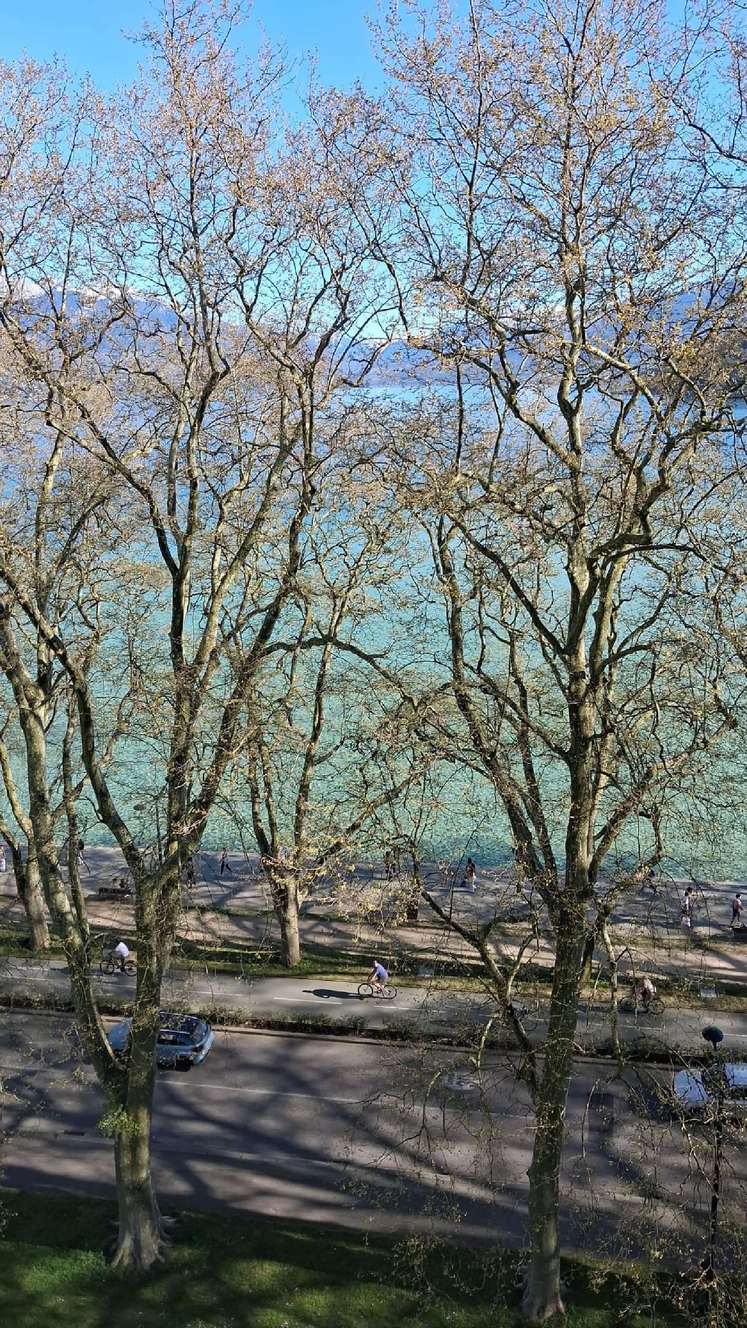 à vendre appartement Annecy Haute-Savoie 6