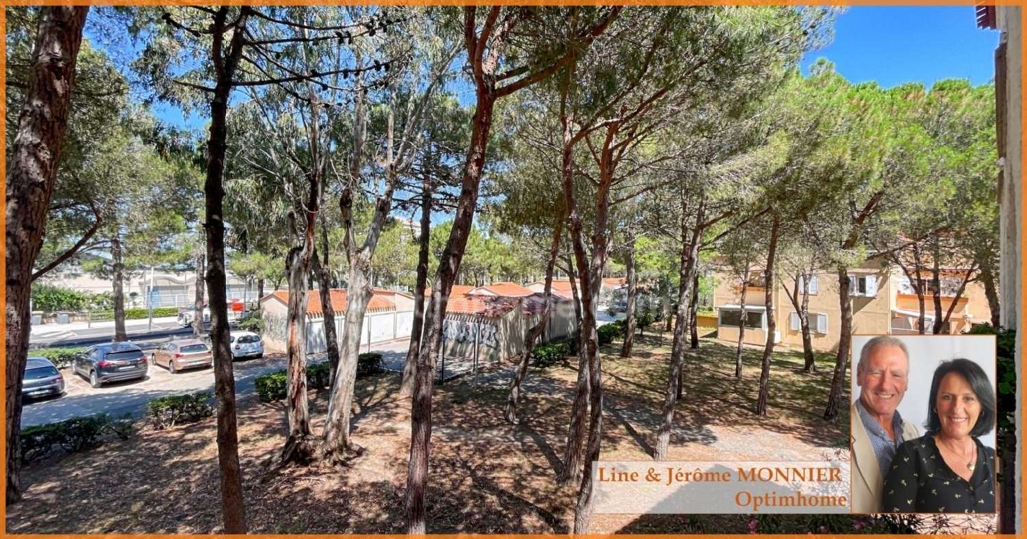 en venta apartamento Argelès-sur-Mer Pirineo Oriental 4