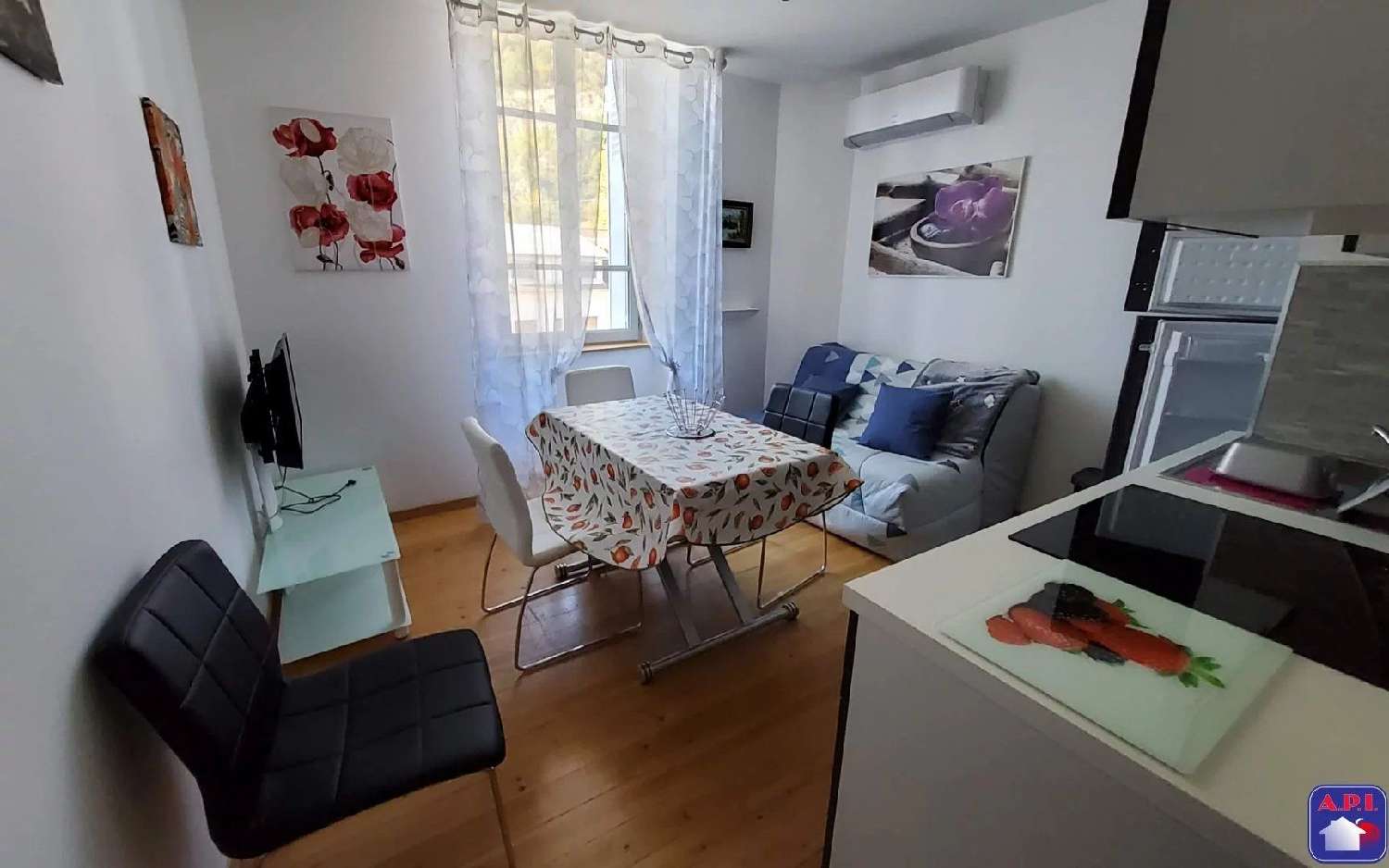 te koop appartement Ax-les-Thermes Ariège 1