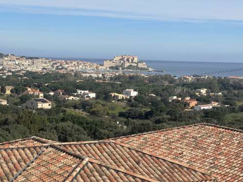 Calvi Haute-Corse Wohnung/ Apartment Bild 7408198