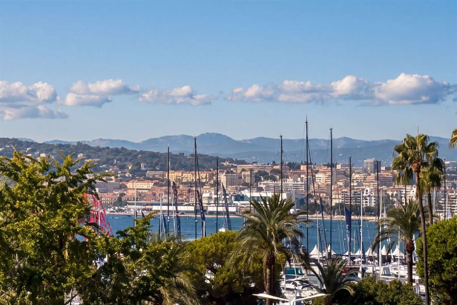 en venta apartamento Cannes Alpes-Maritimes 2
