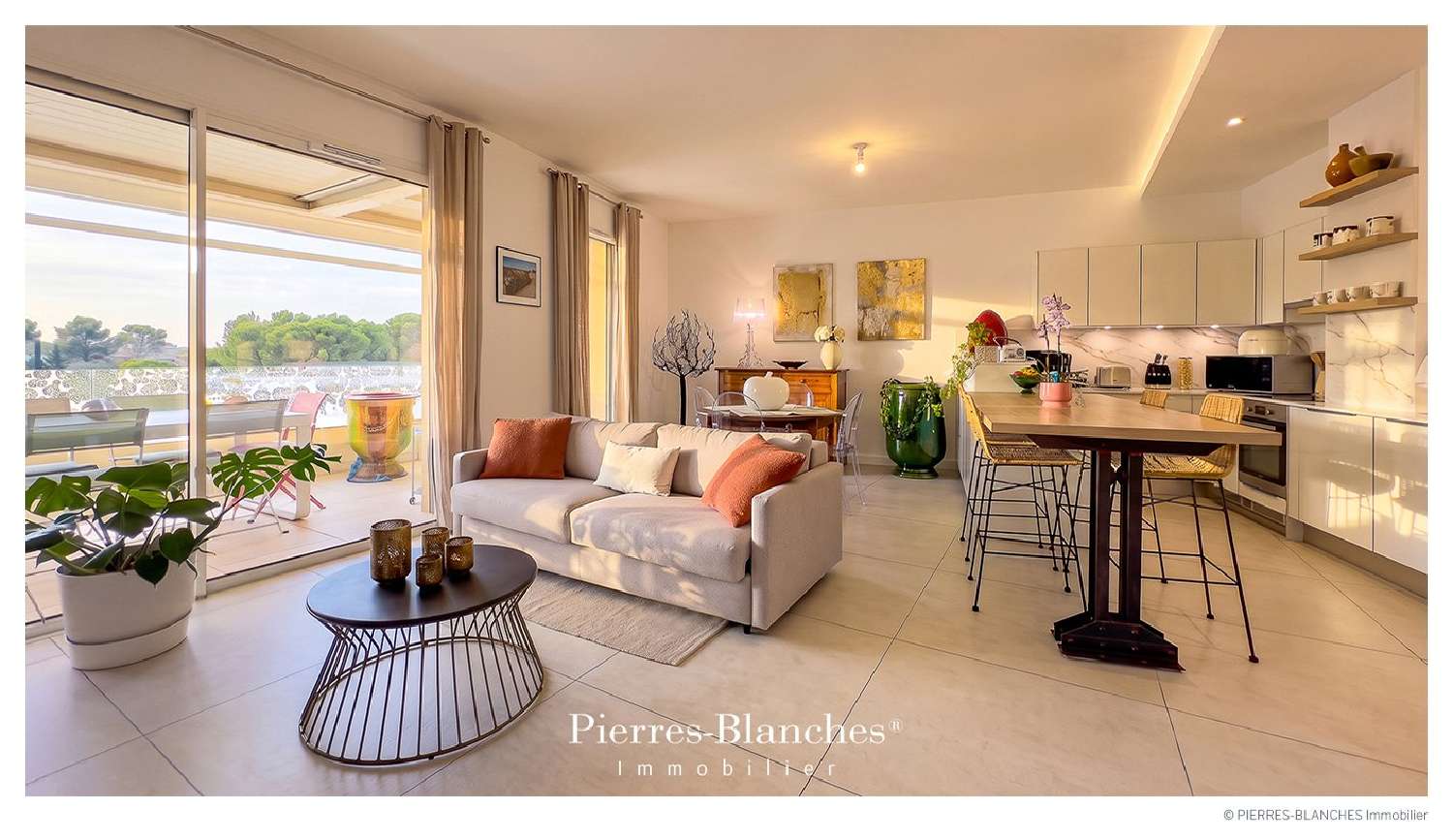 te koop appartement Castelnau-le-Lez Hérault 2