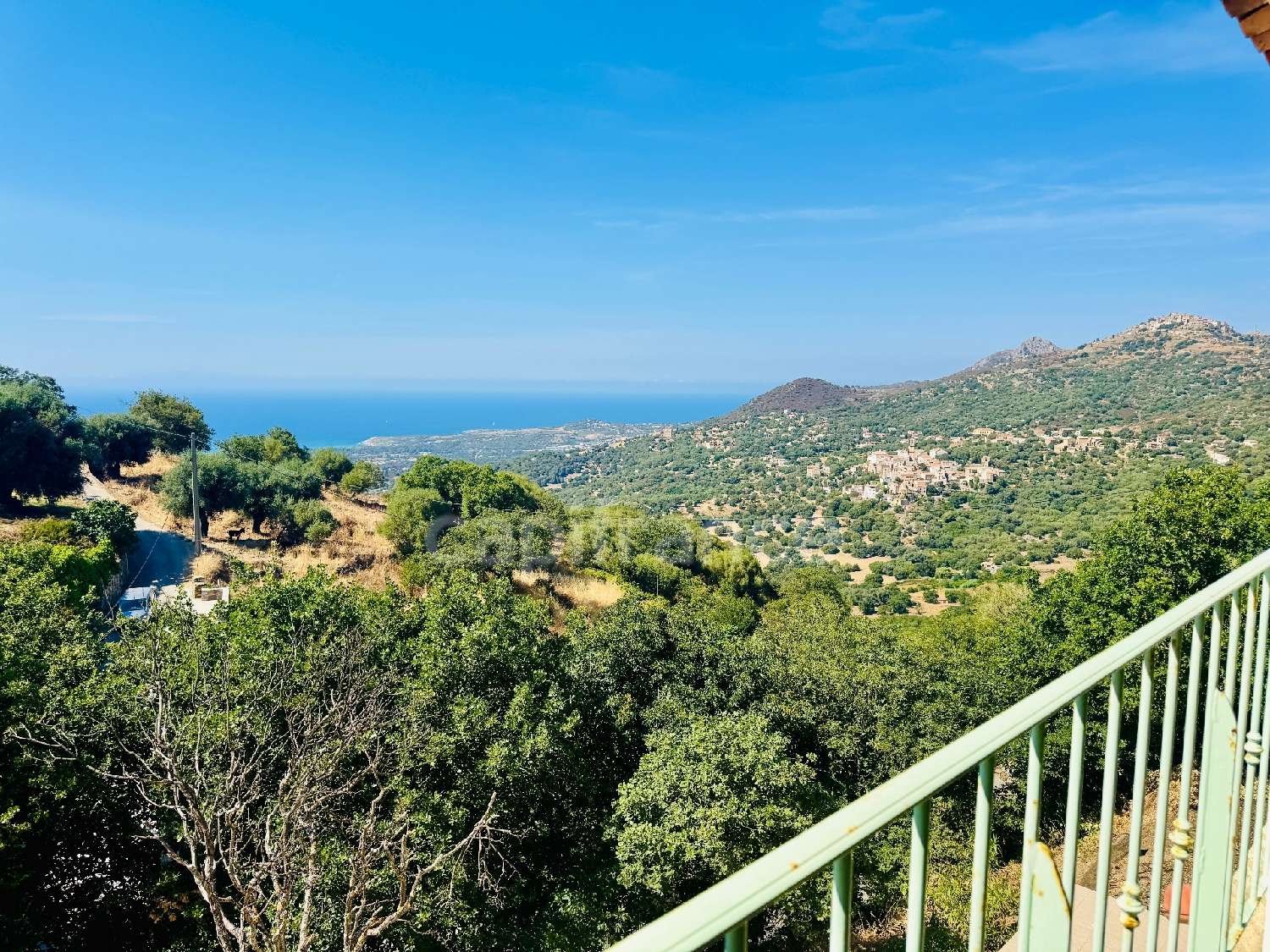kaufen Wohnung/ Apartment Cateri Haute-Corse 2