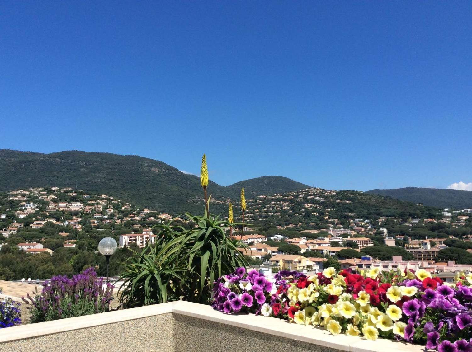  à vendre appartement Cavalaire-sur-Mer Var 1