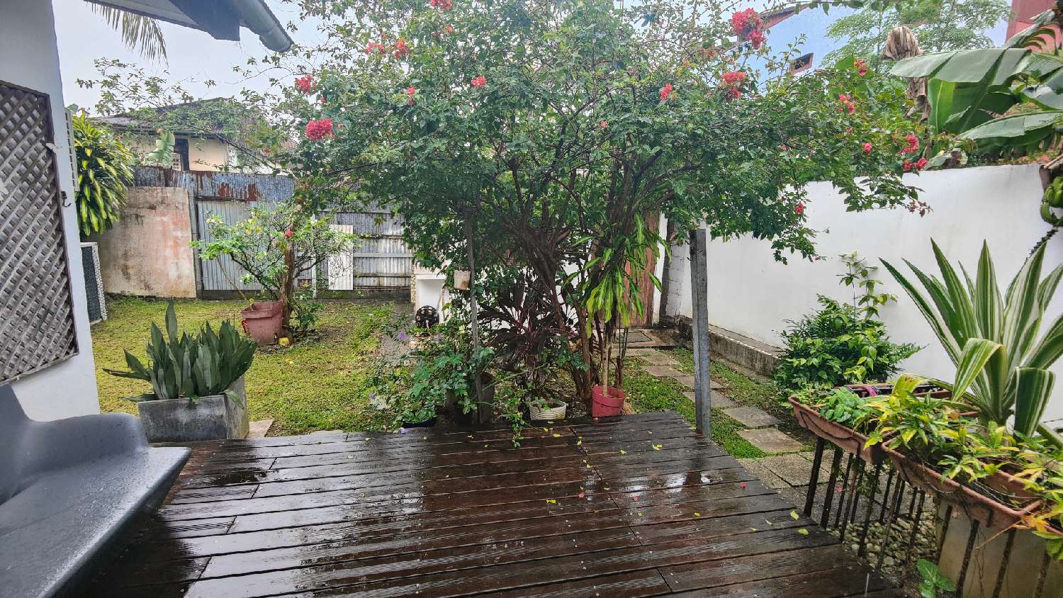 te koop appartement Cayenne Guyane 6