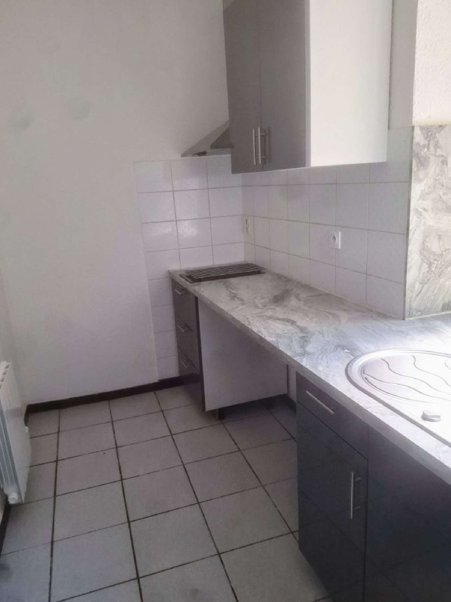 te koop appartement Chaponost Rhône 1