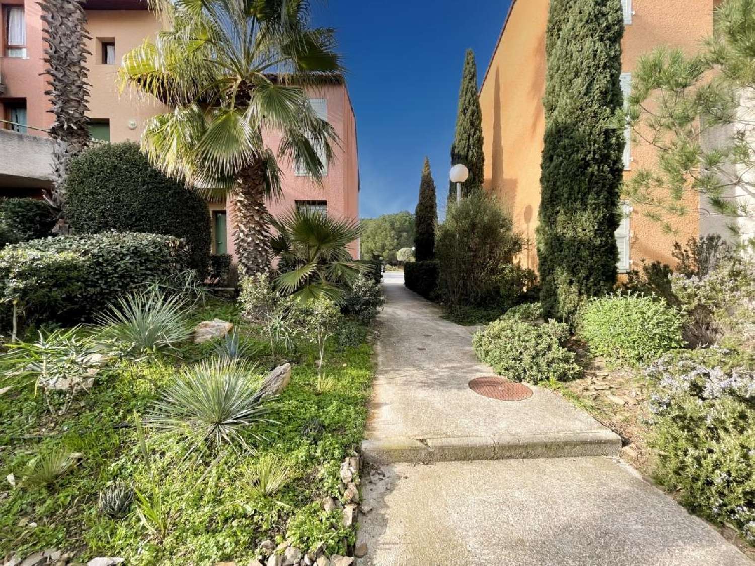 en venta apartamento Collioure Pirineo Oriental 1