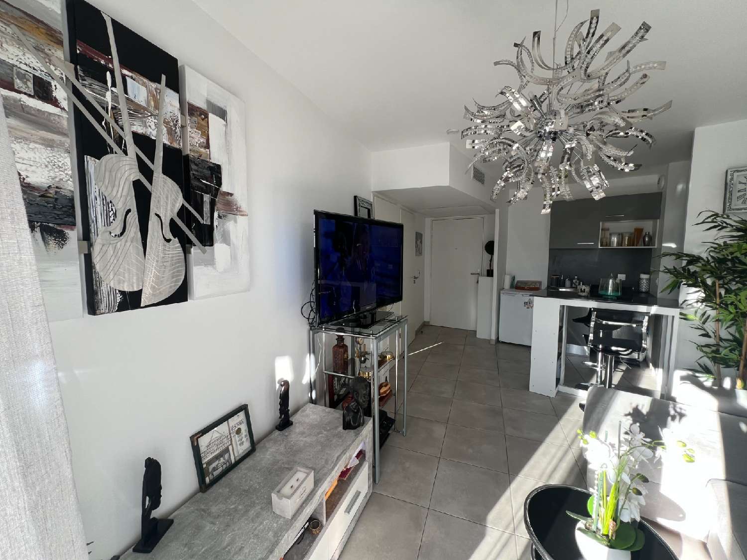 kaufen Wohnung/ Apartment Le Cap d'Agde Hérault 2