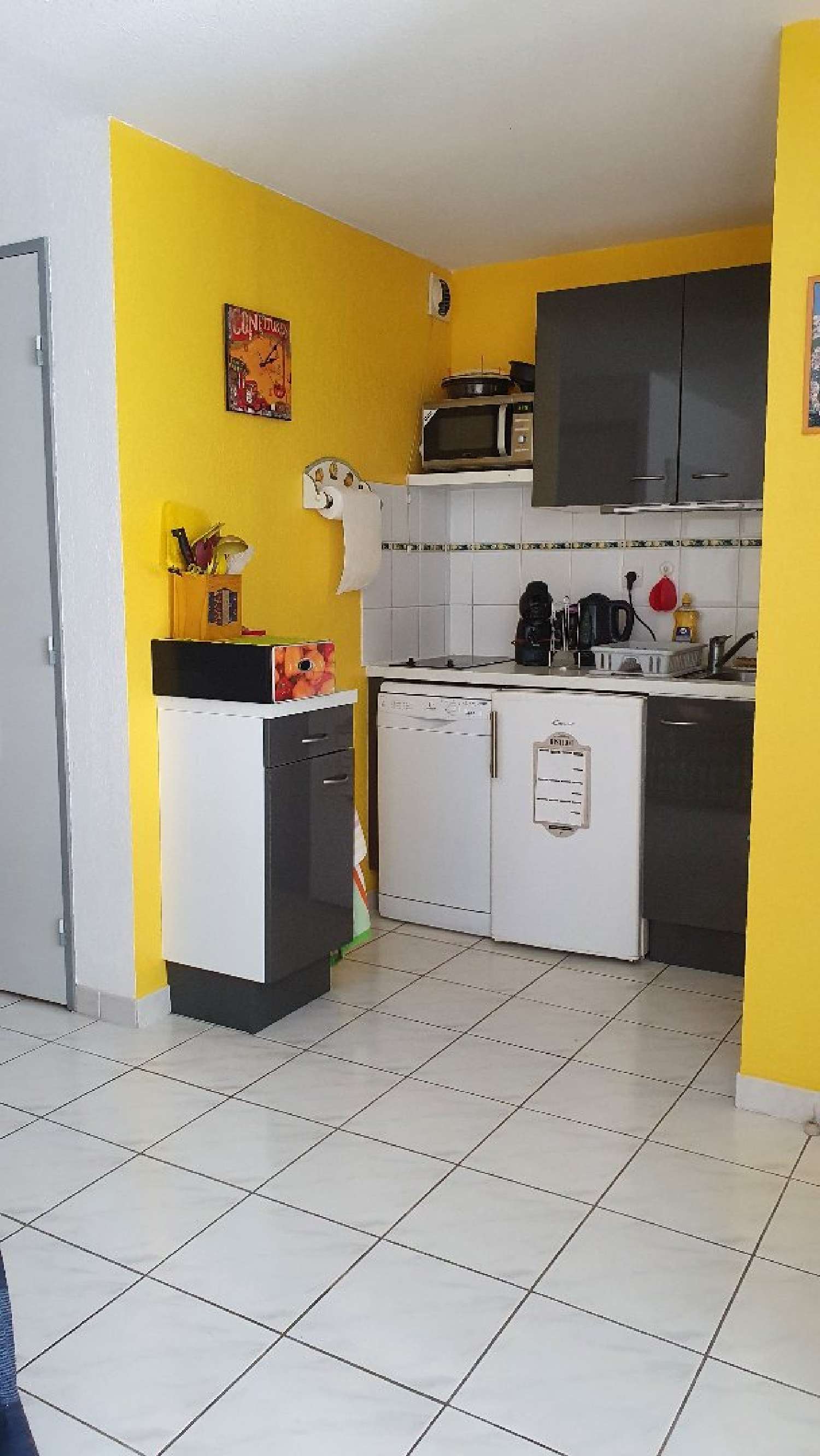  te koop appartement Le Cap d'Agde Hérault 4