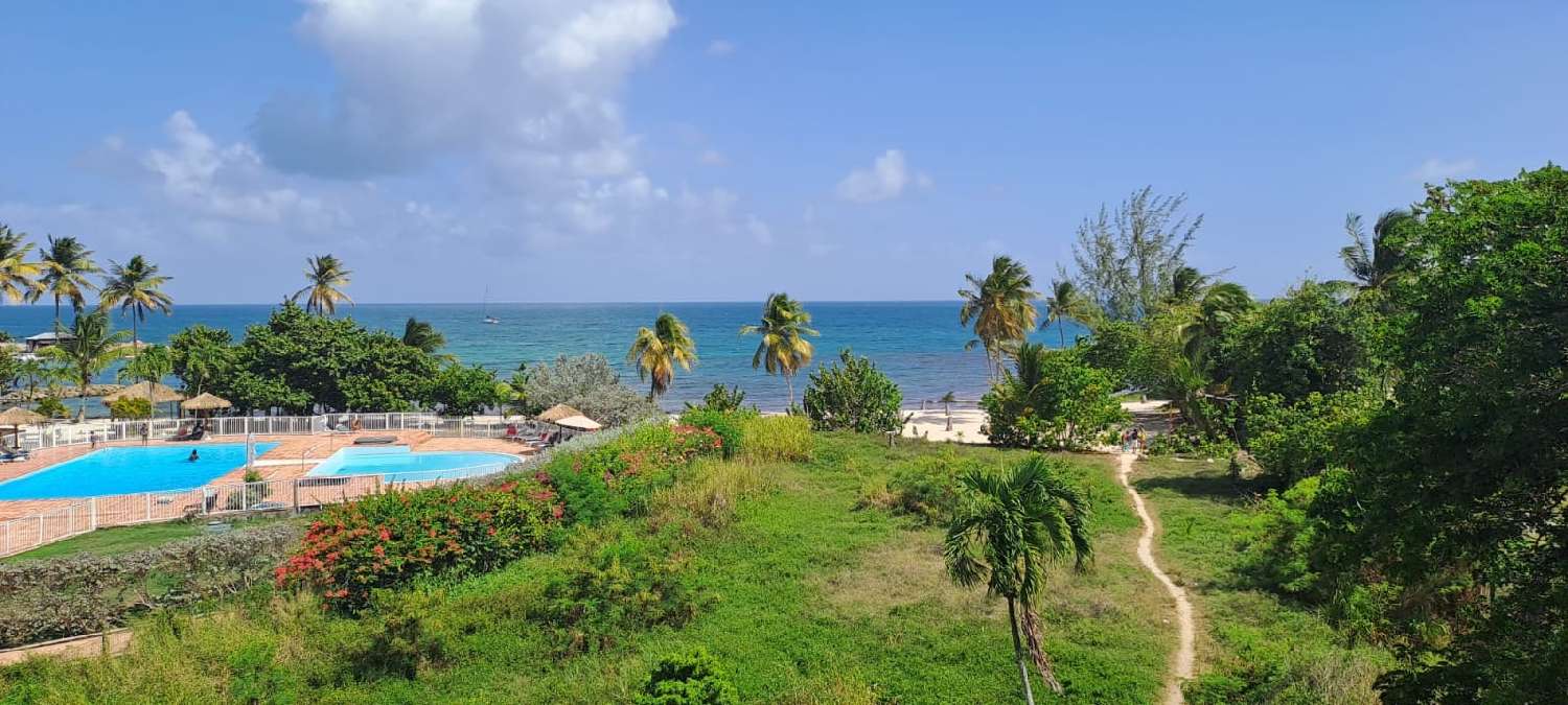 kaufen Wohnung/ Apartment Le Gosier Guadeloupe 7