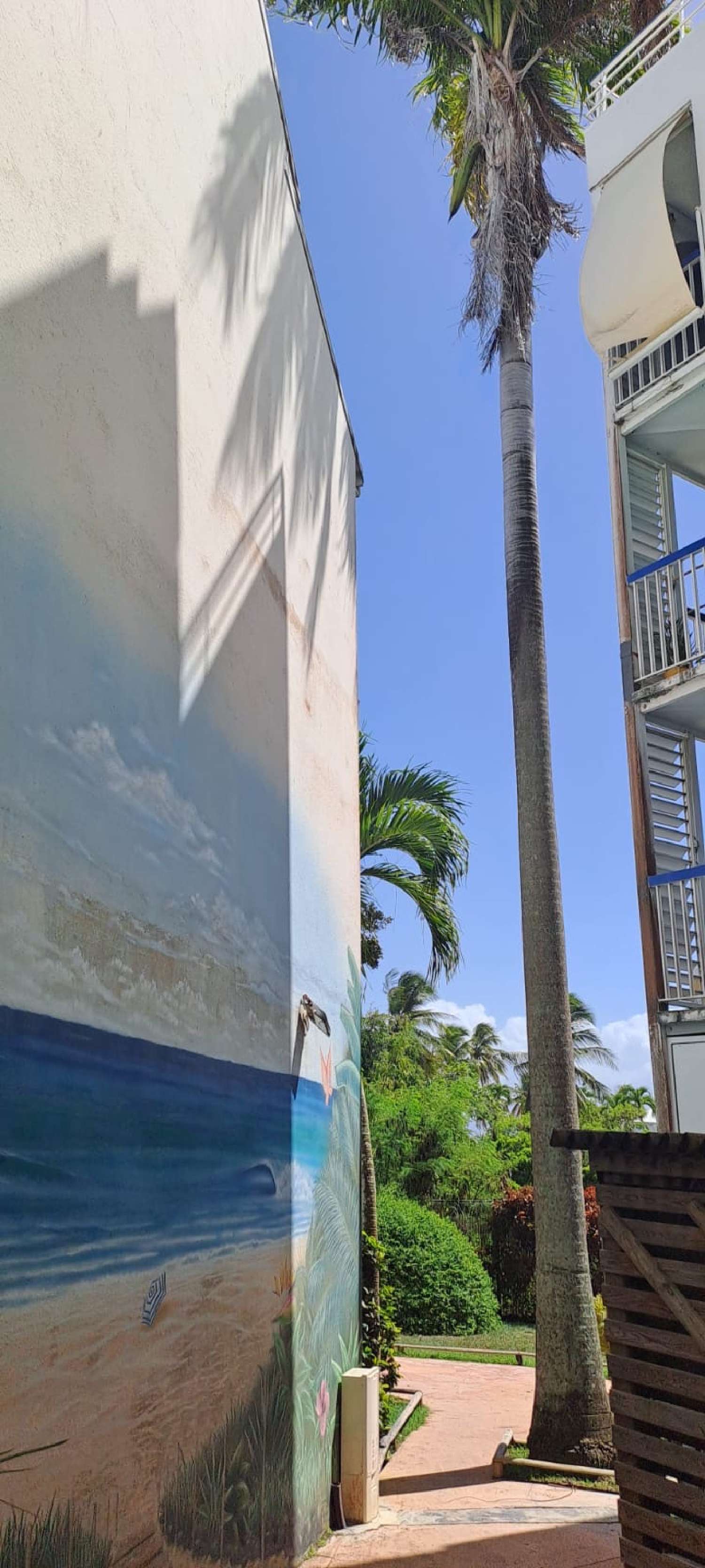 kaufen Wohnung/ Apartment Le Gosier Guadeloupe 8