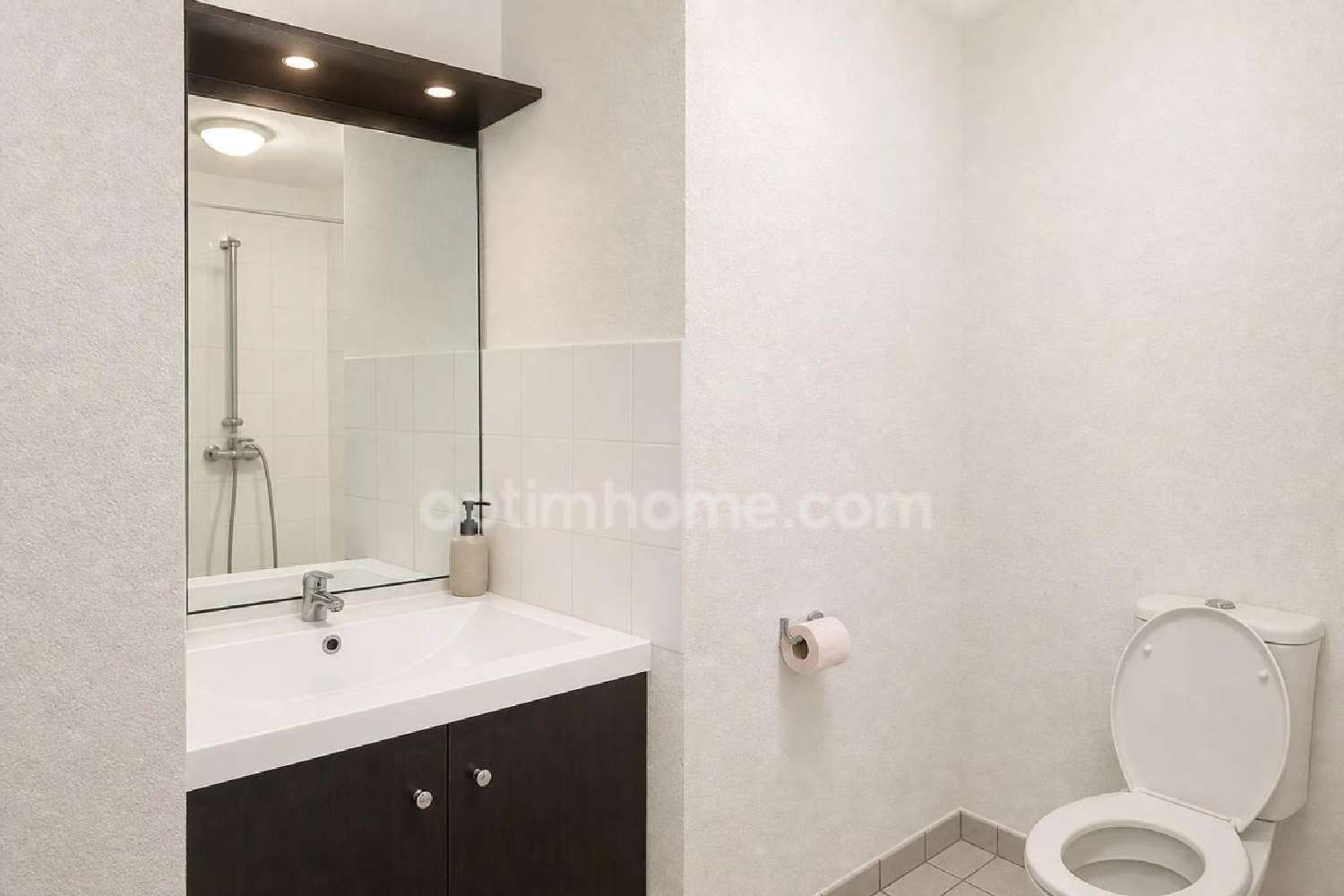 à vendre appartement Lyon 7e Arrondissement Rhône 6