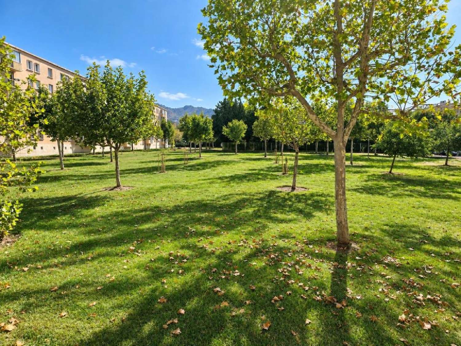 en venta apartamento Marseille 10e Arrondissement Bocas del Ródano 1