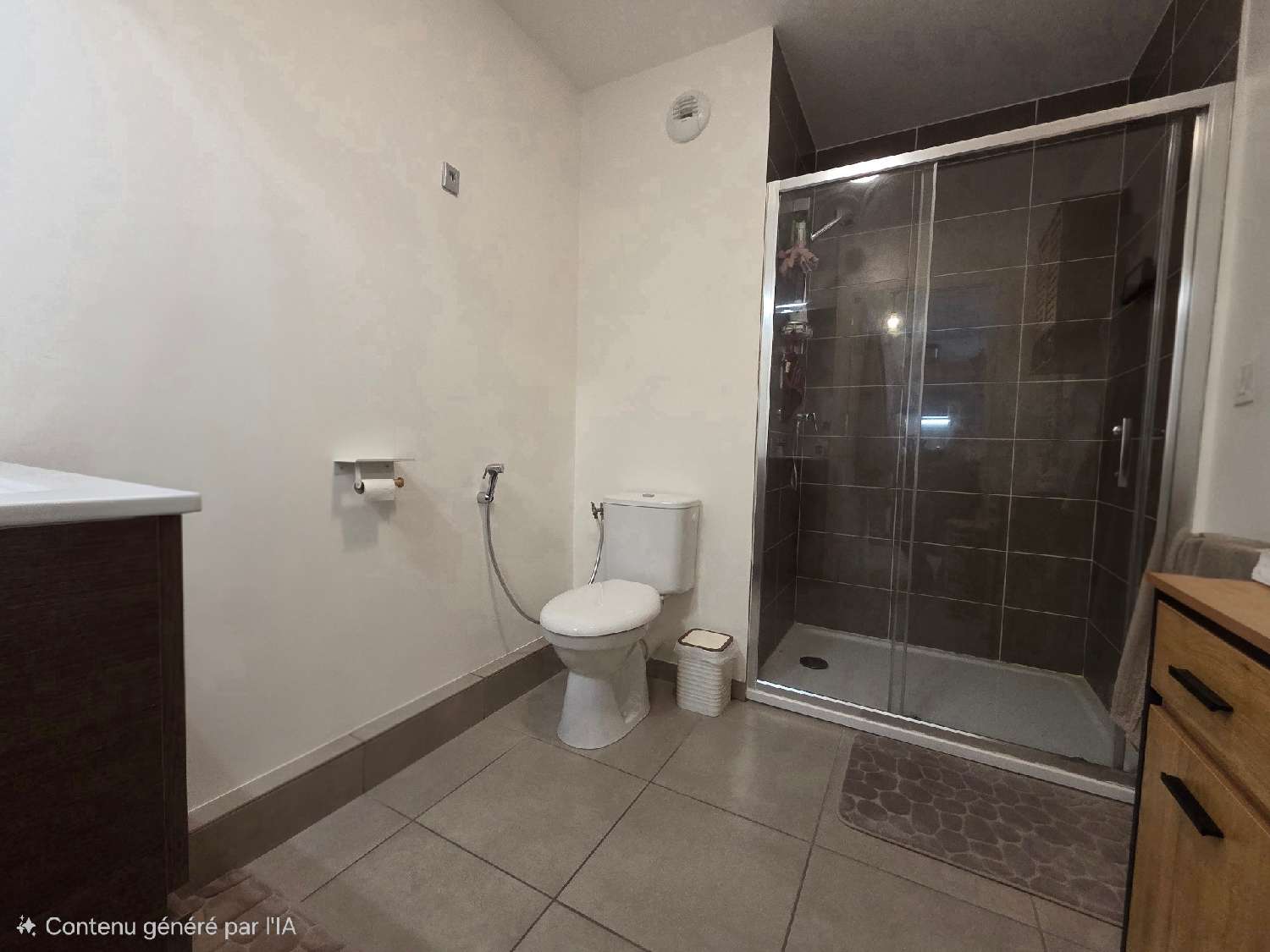 te koop appartement Meyzieu Rhône 5