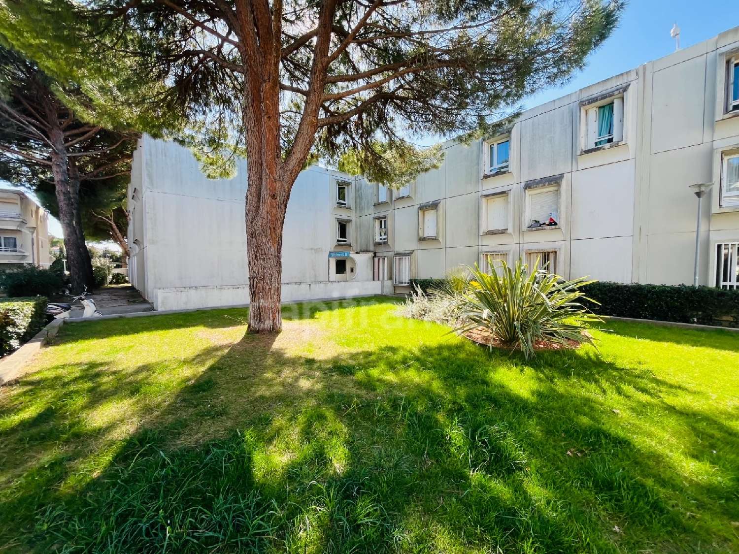  en venta apartamento Montpellier Hérault 6