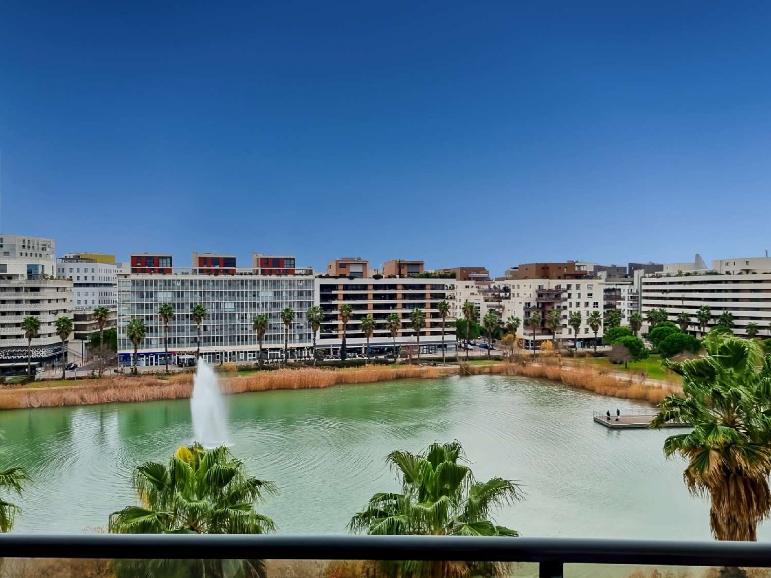 à vendre appartement Montpellier Hérault 2