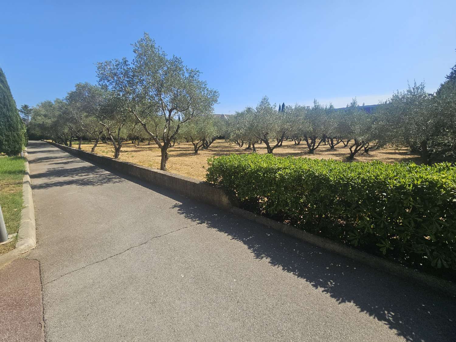  à vendre appartement Montpellier 34080 Hérault 8