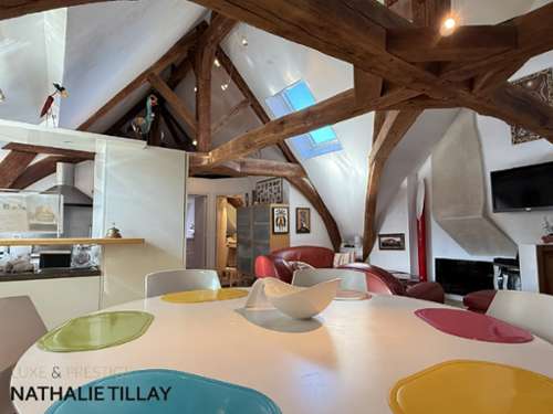Orléans Loiret apartment foto 7411366