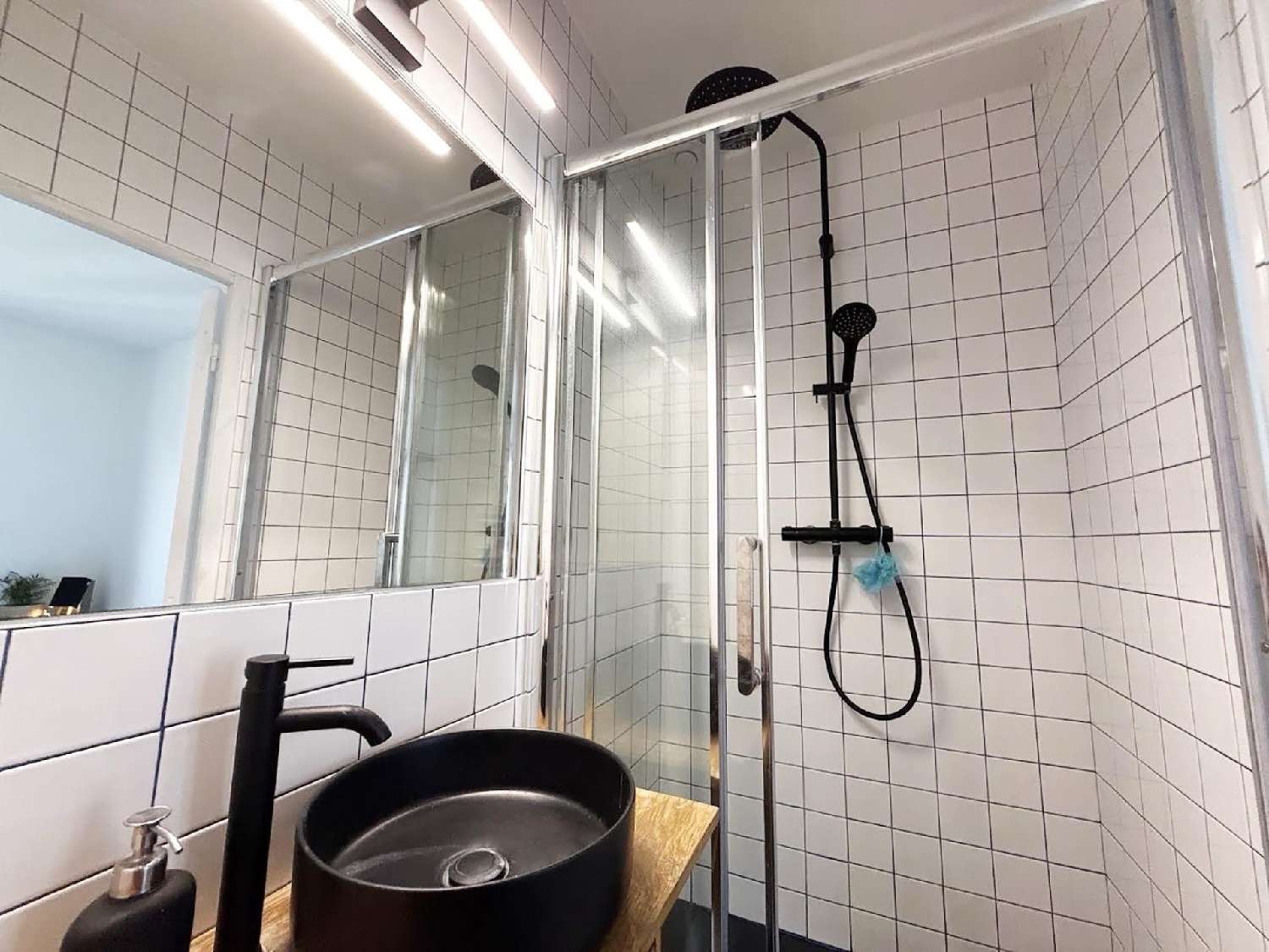  à vendre appartement Paris 11e Arrondissement Paris (Seine) 7