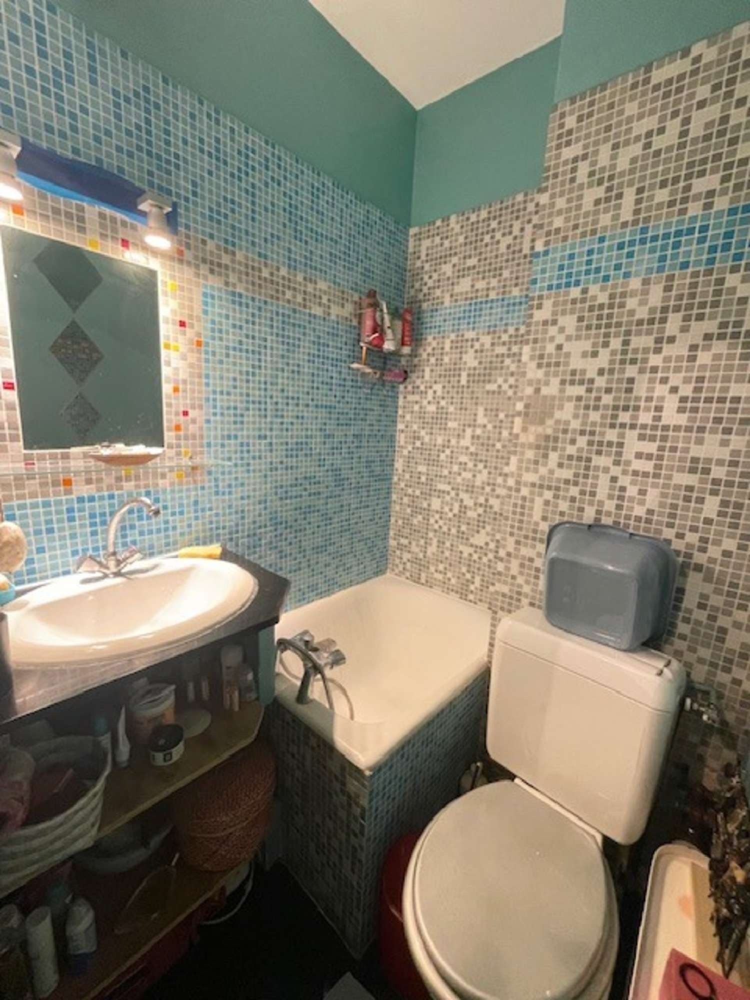 kaufen Wohnung/ Apartment Paris 12e Arrondissement Paris (Seine) 4