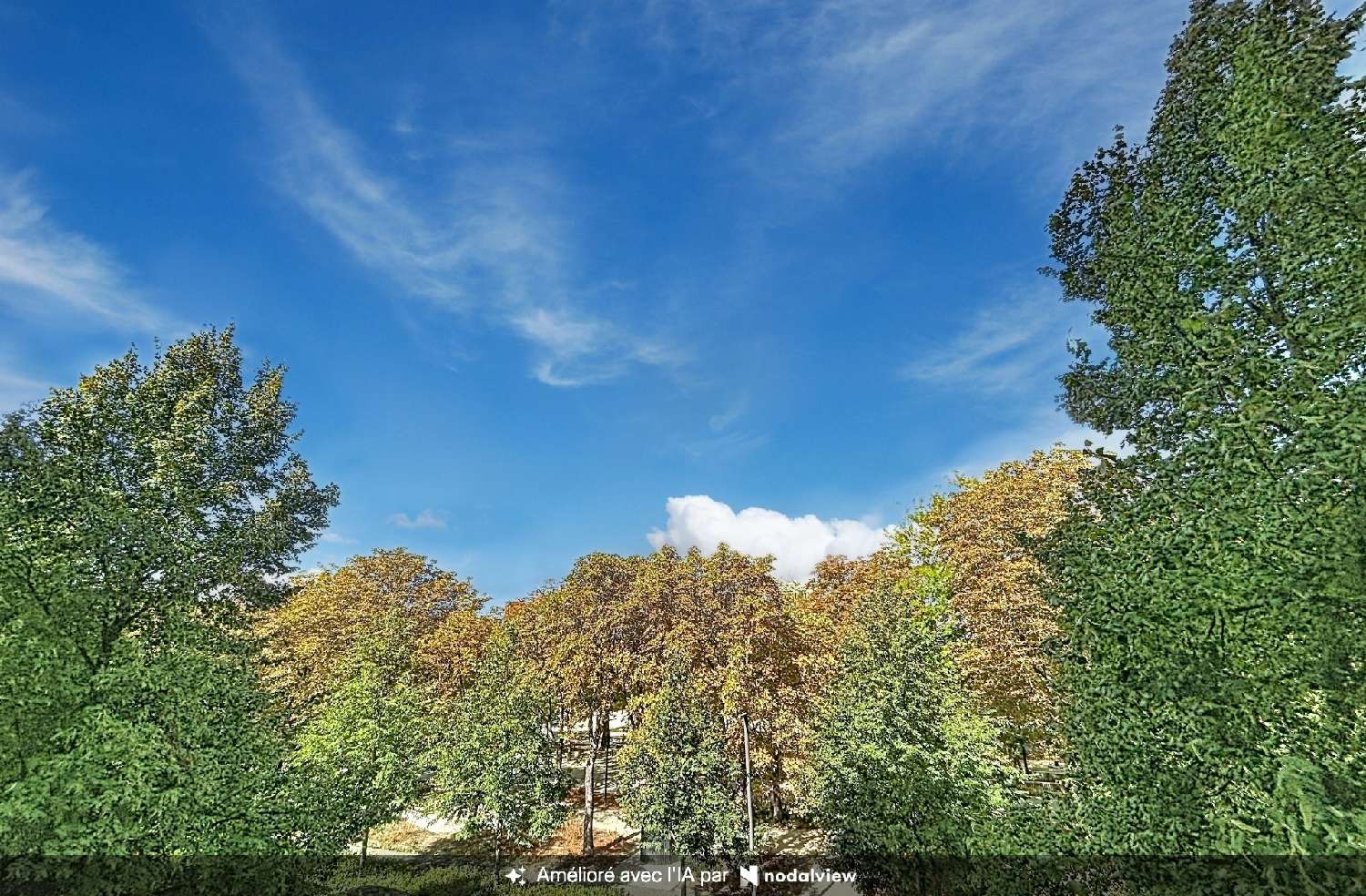 for sale apartment Reims Marne 1