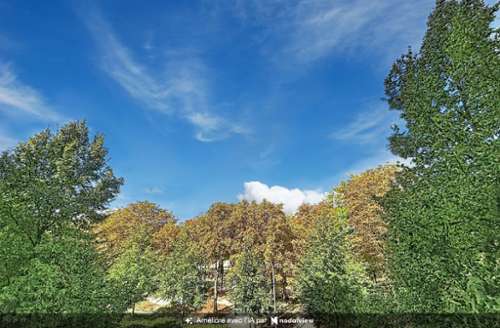 Reims Marne apartment foto 7411670