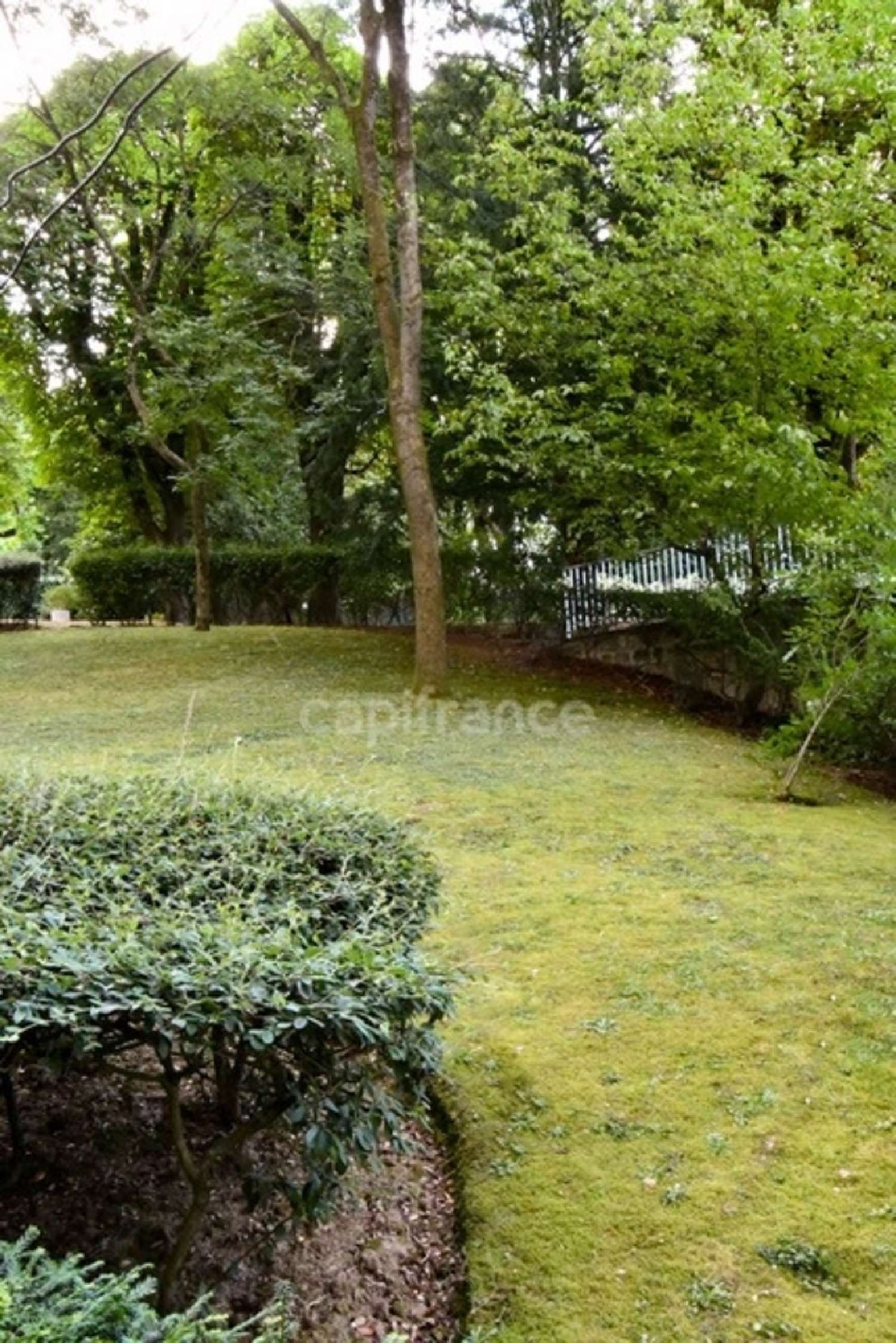 à vendre appartement Saint-Cloud Hauts-de-Seine 1