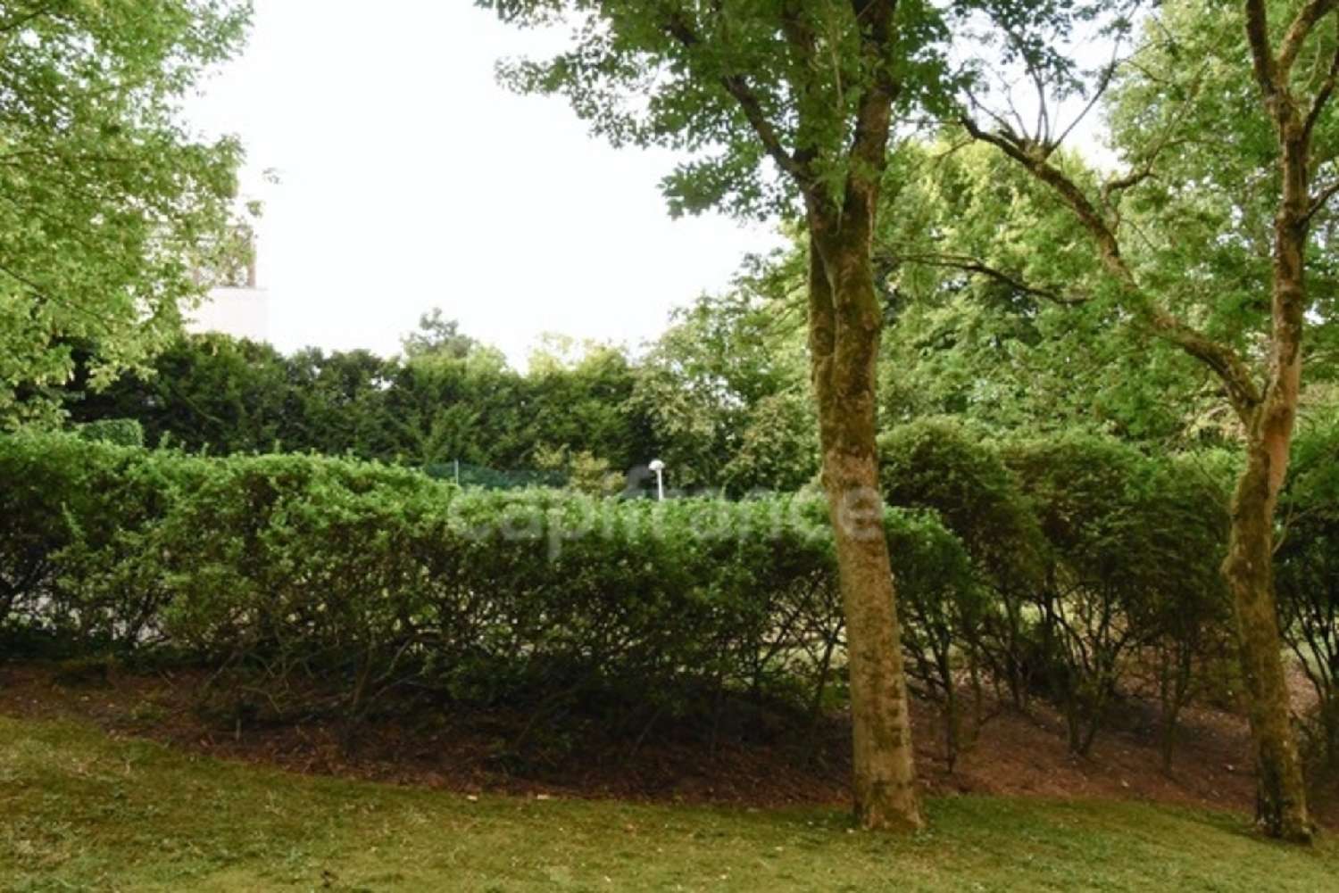 à vendre appartement Saint-Cloud Hauts-de-Seine 8
