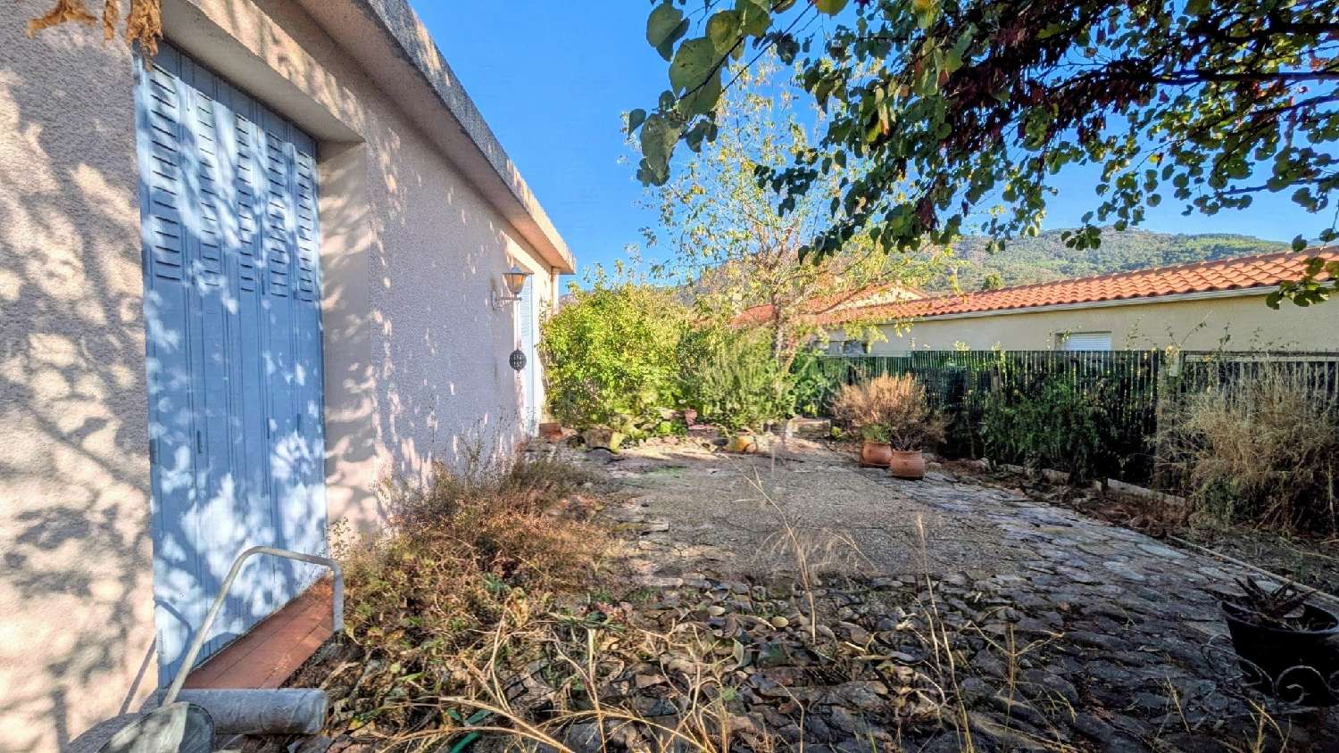 te koop appartement Sorède Pyrénées-Orientales 1