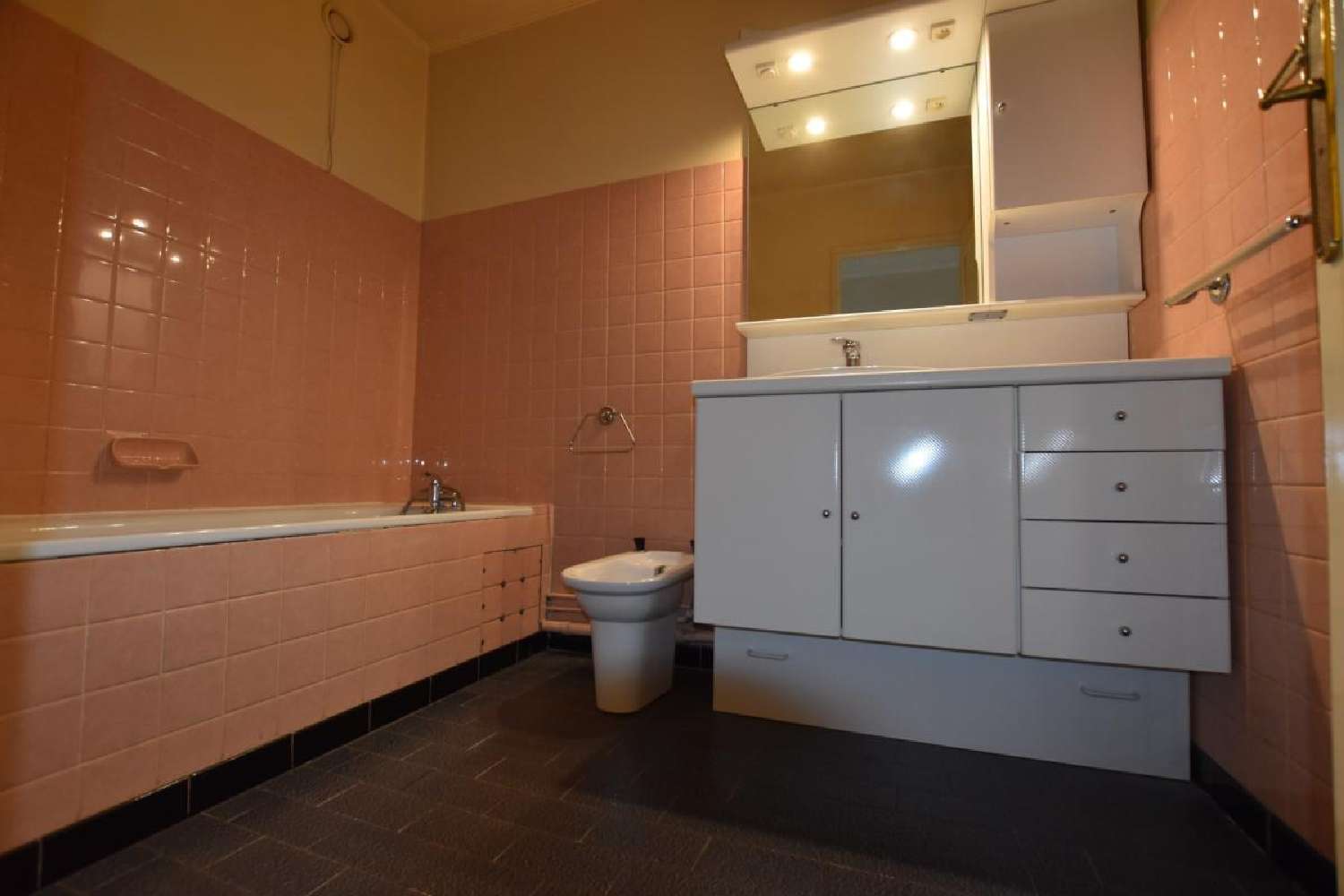  kaufen Wohnung/ Apartment Terrenoire Loire 5