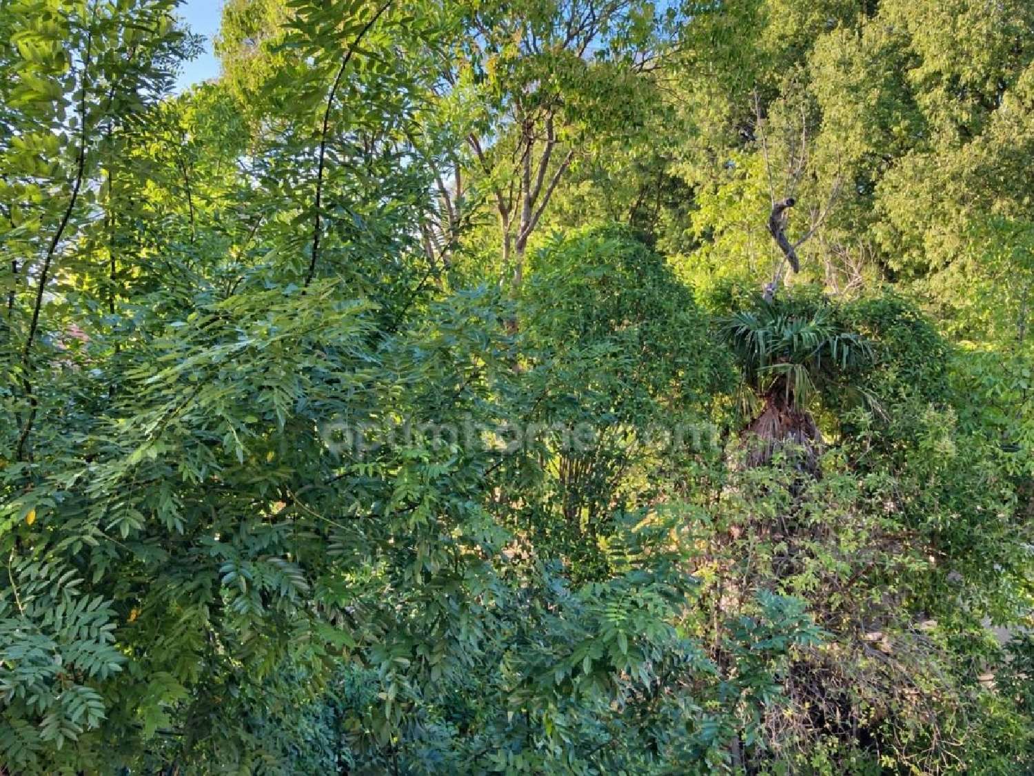 à vendre appartement Toulouse 31500 Haute-Garonne 2