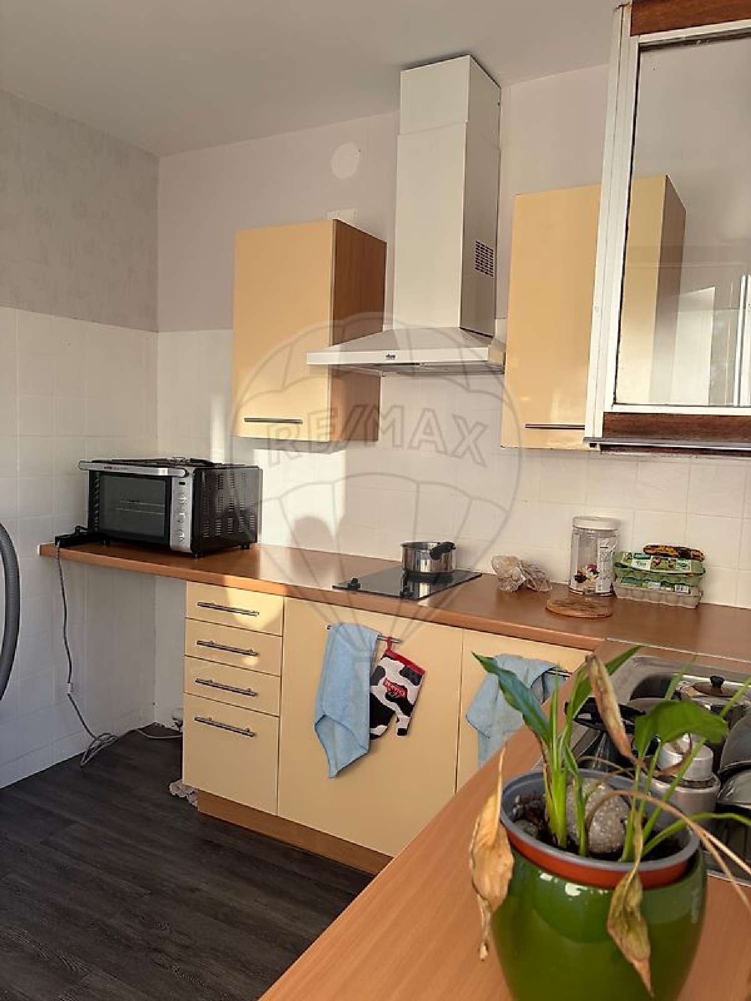  kaufen Wohnung/ Apartment Toulouse 31500 Haute-Garonne 2