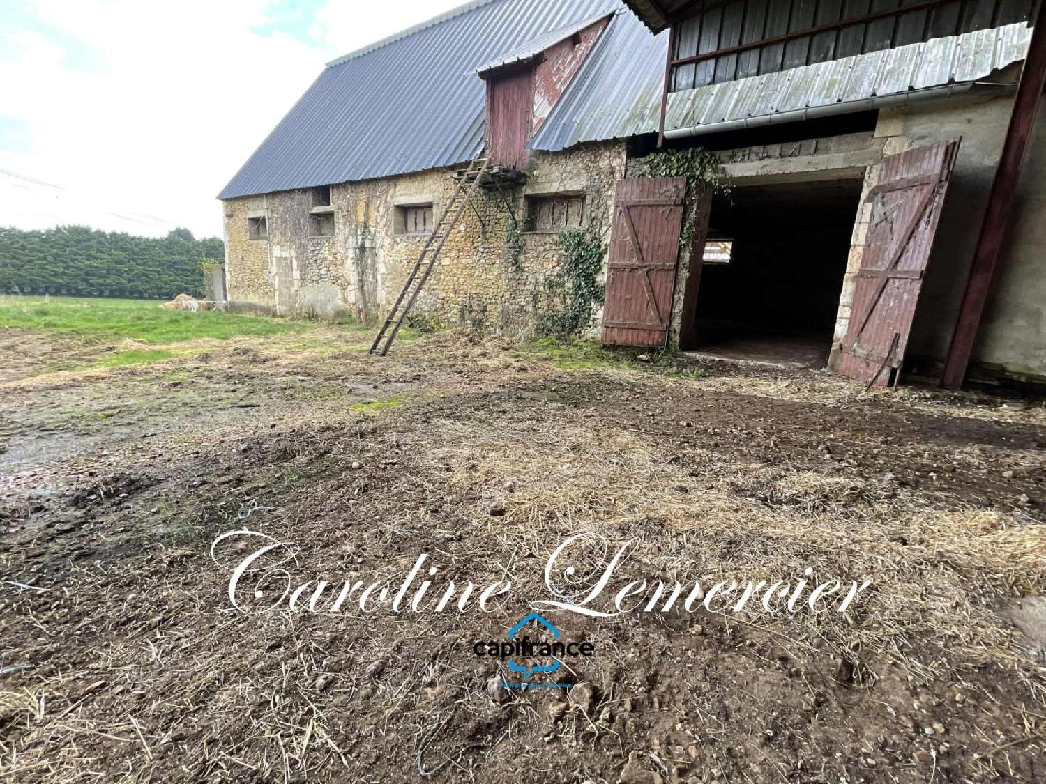  for sale barn Connerré Sarthe 7