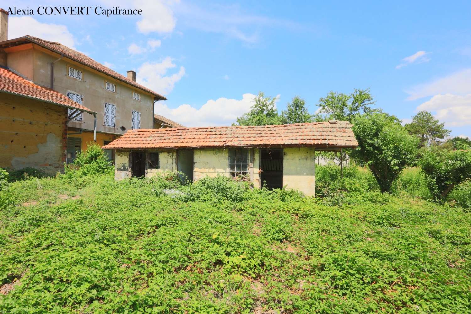 for sale barn Foissiat Ain 4