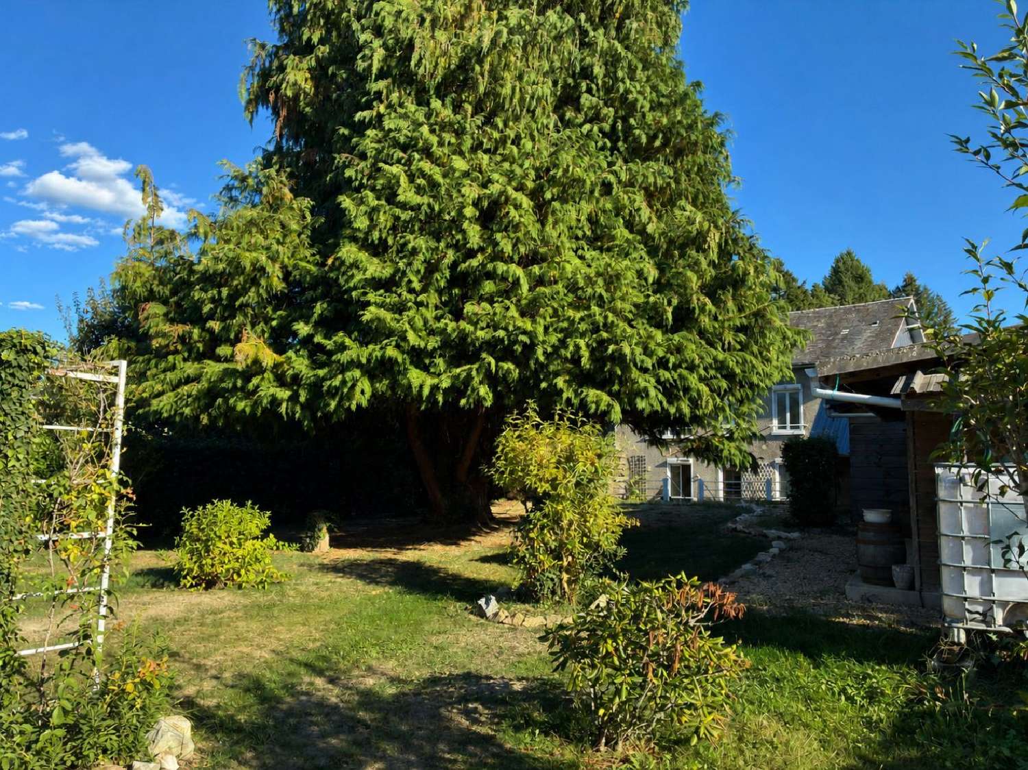 kaufen Schloss Châteauneuf-la-Forêt Haute-Vienne 1