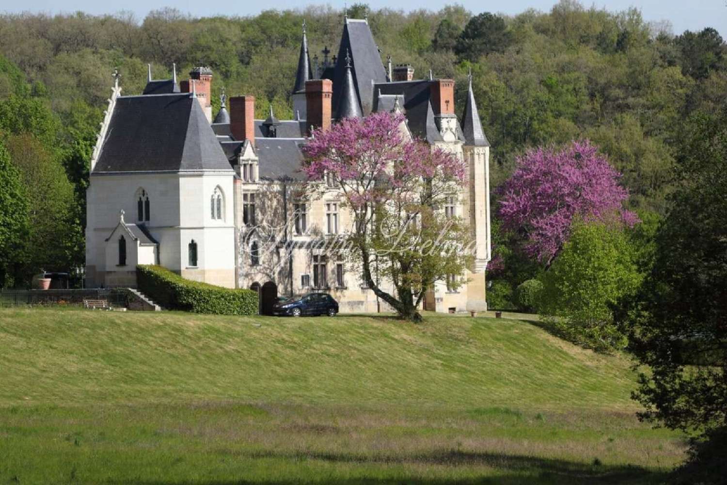 for sale castle Tours Indre-et-Loire 3