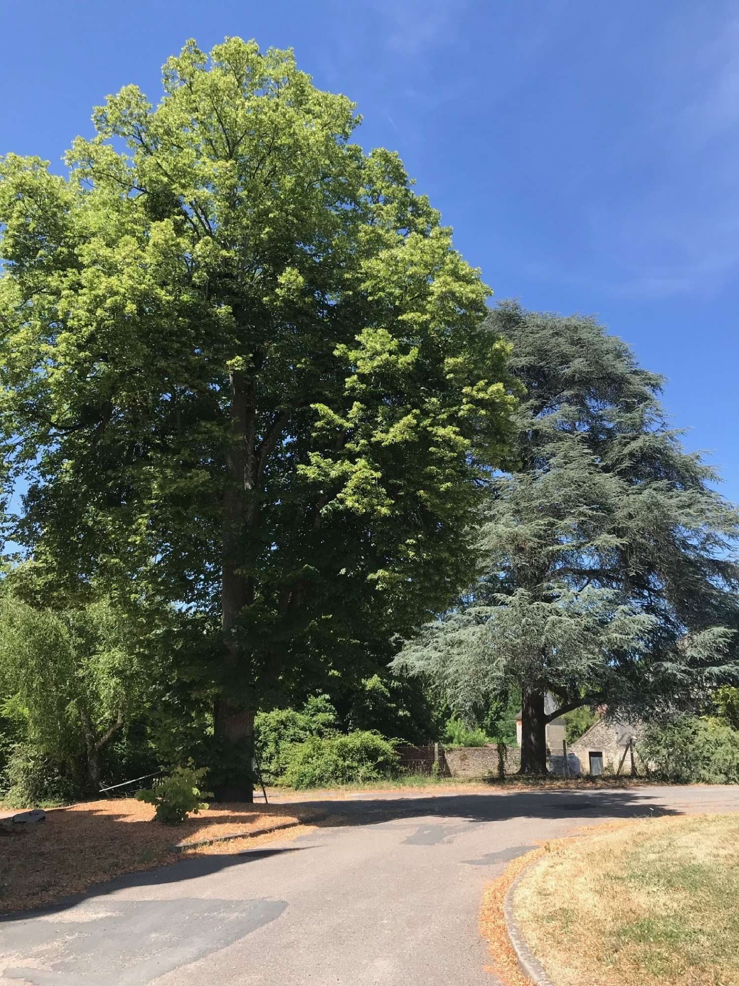  for sale castle Vierzon Cher 4